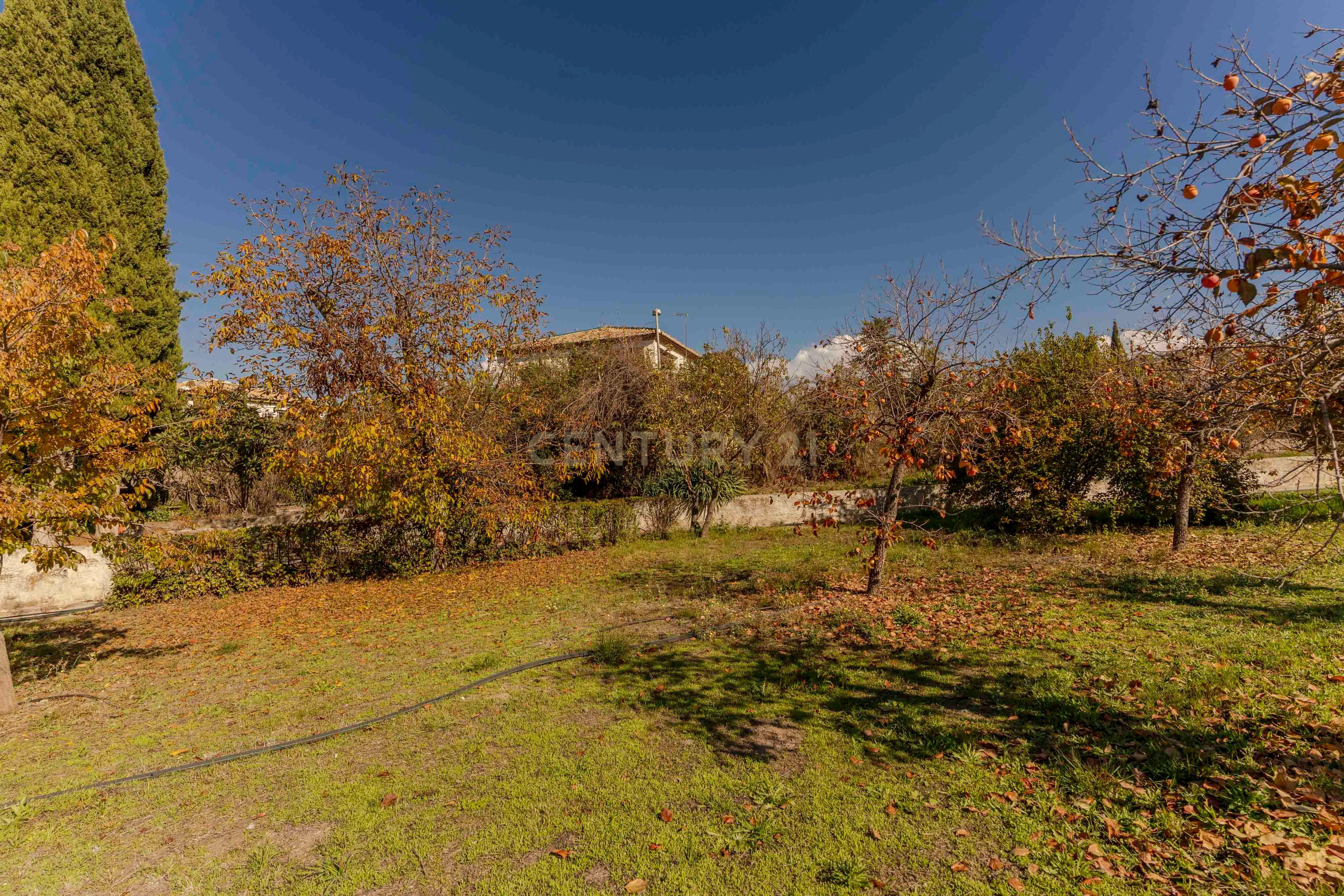 undefined - Image 79
