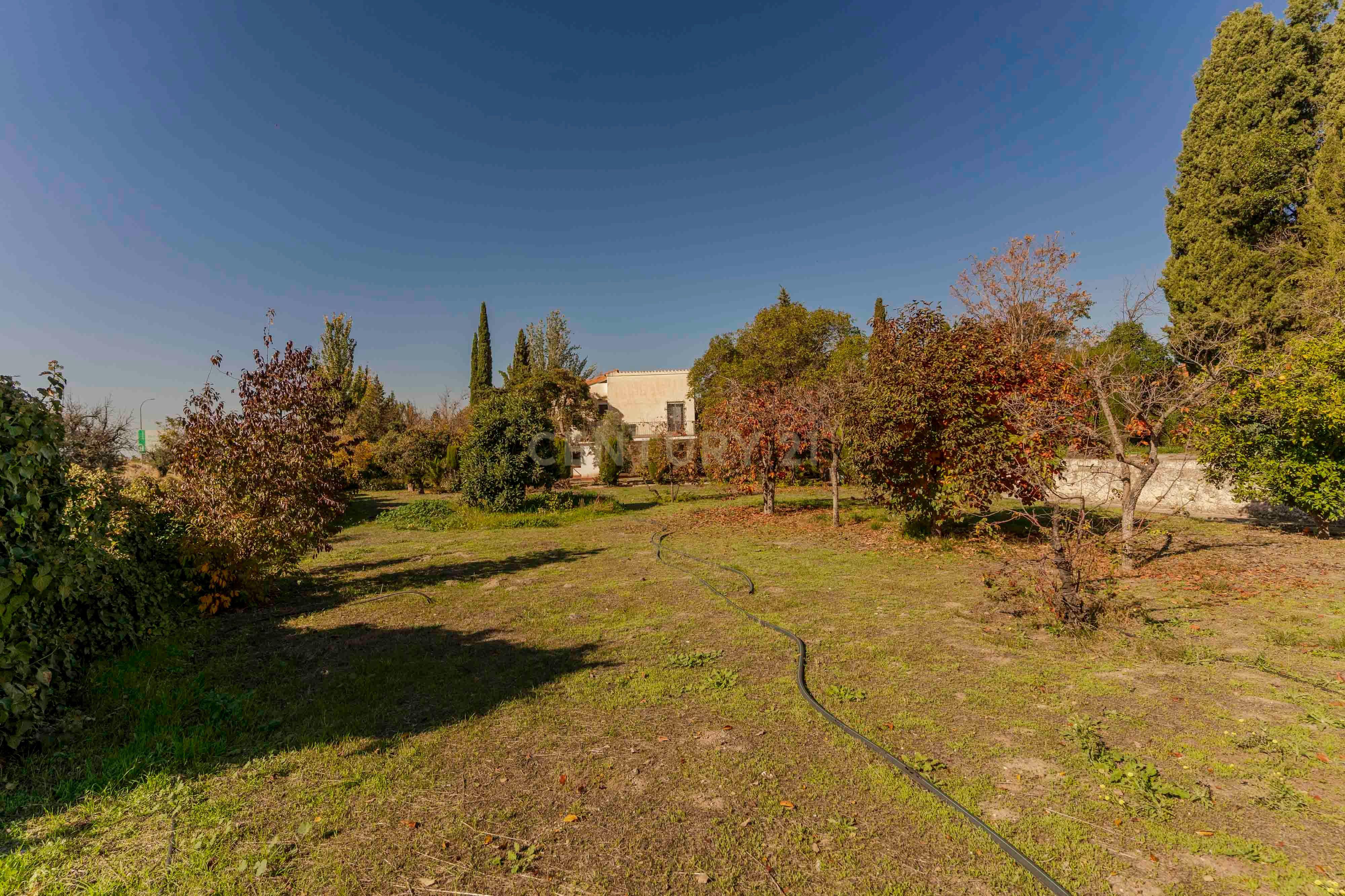 undefined - Image 72