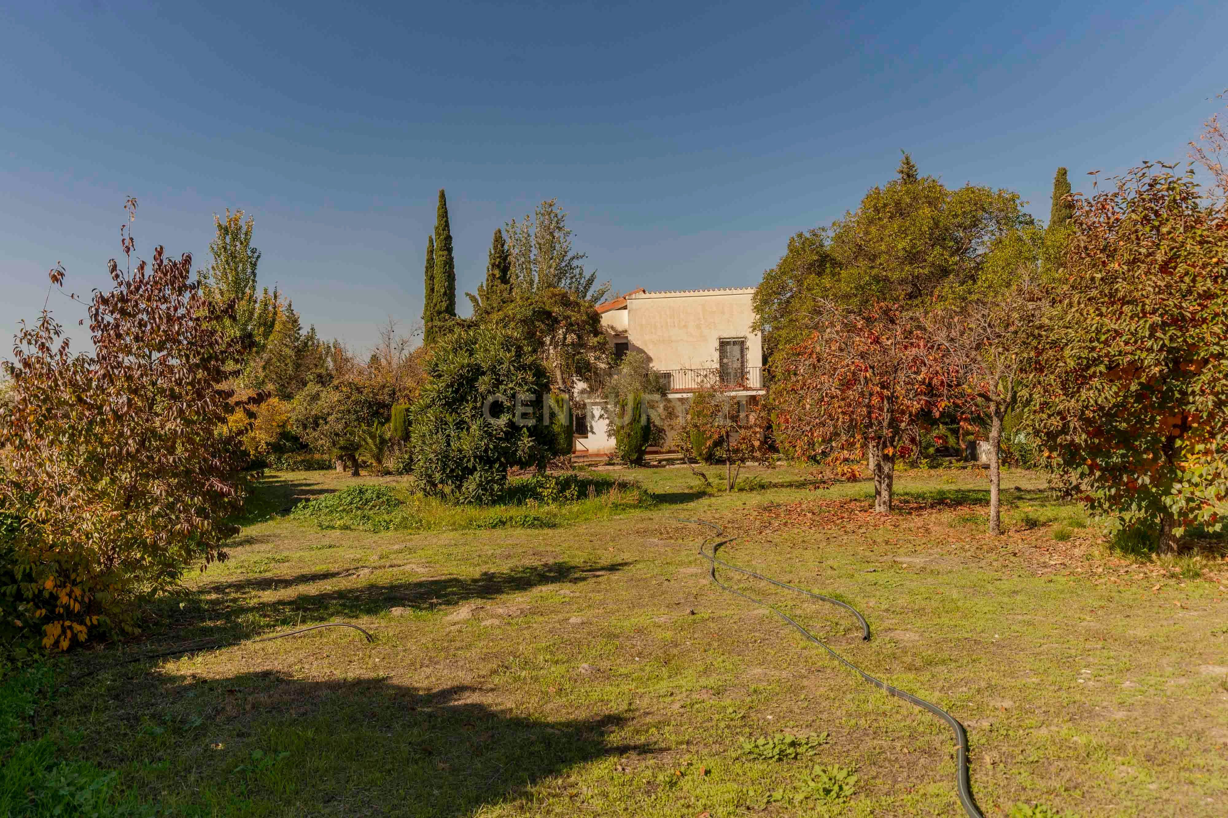 undefined - Image 73