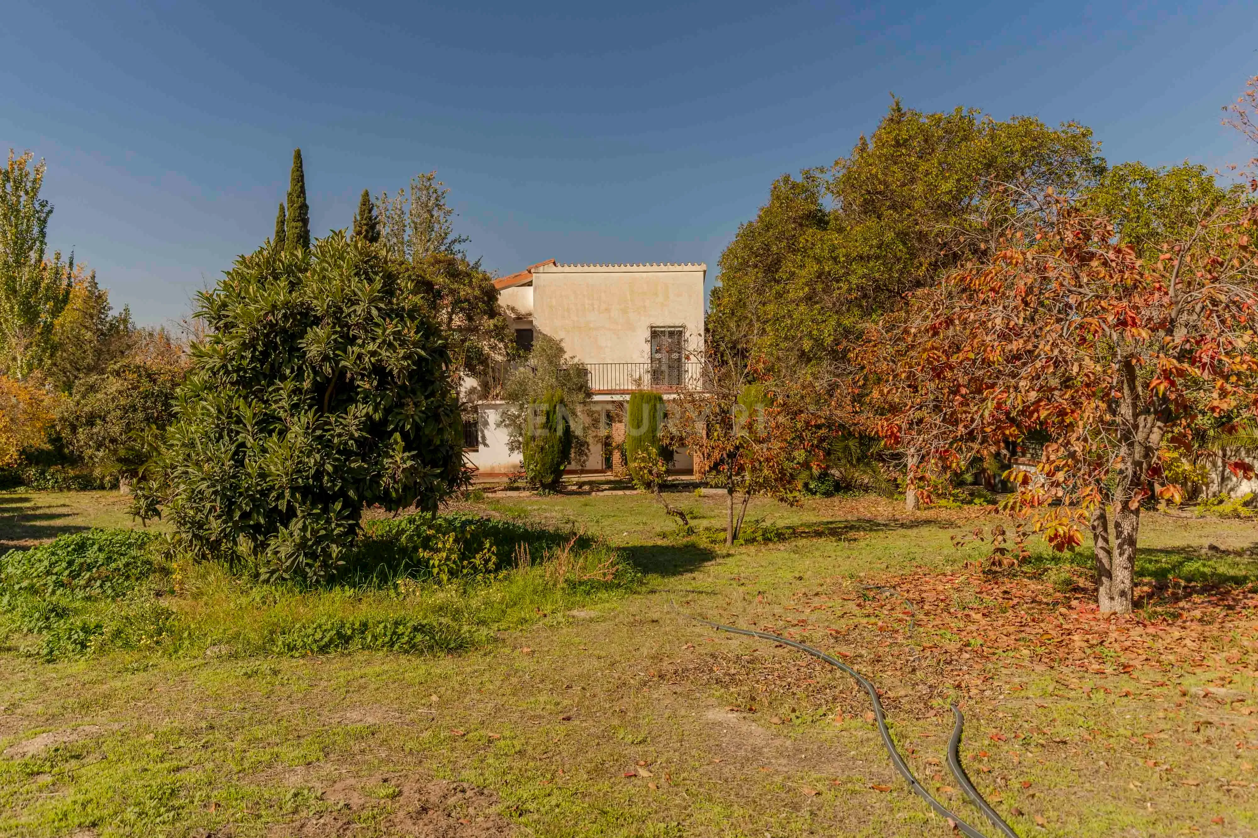 undefined - Image 74