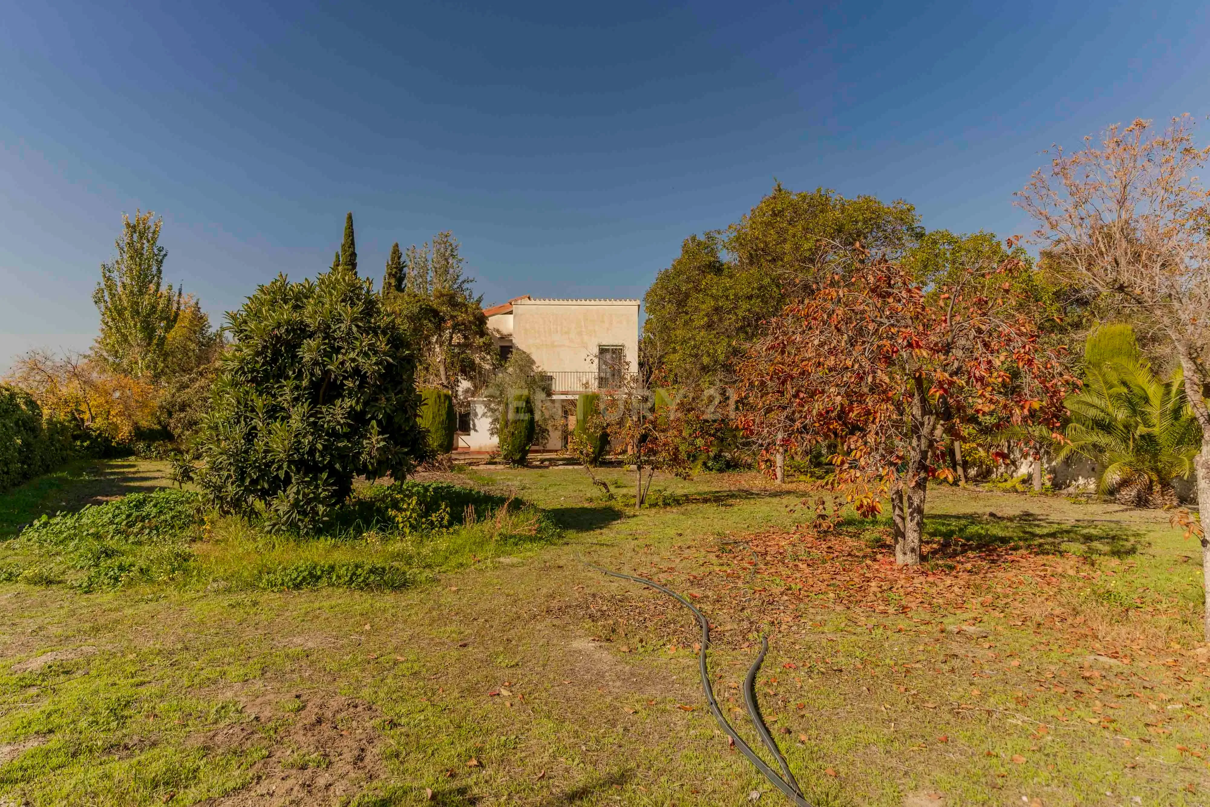 undefined - Image 75
