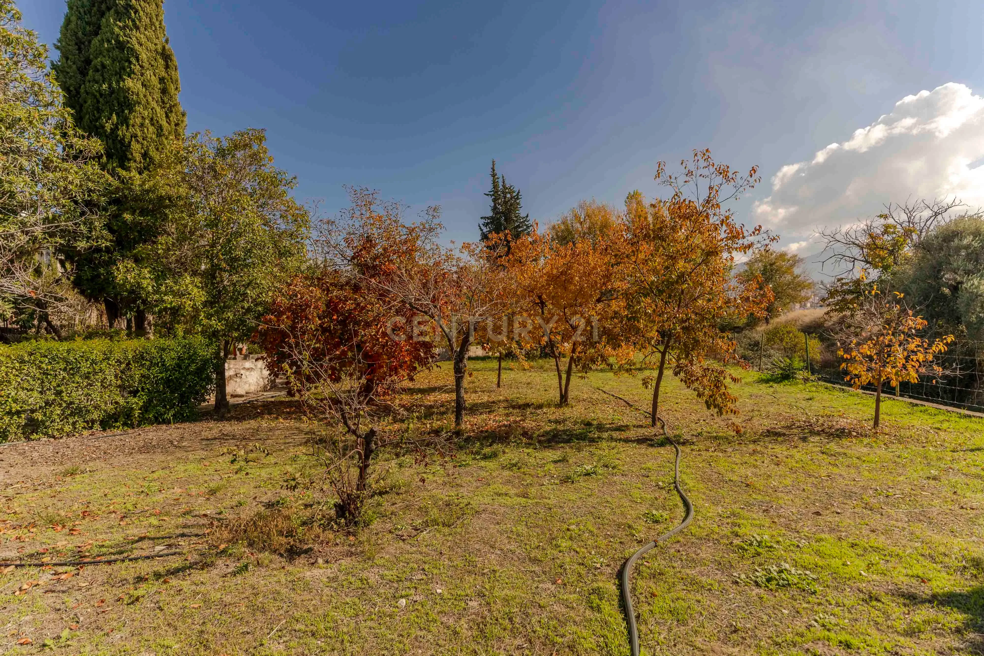undefined - Image 76