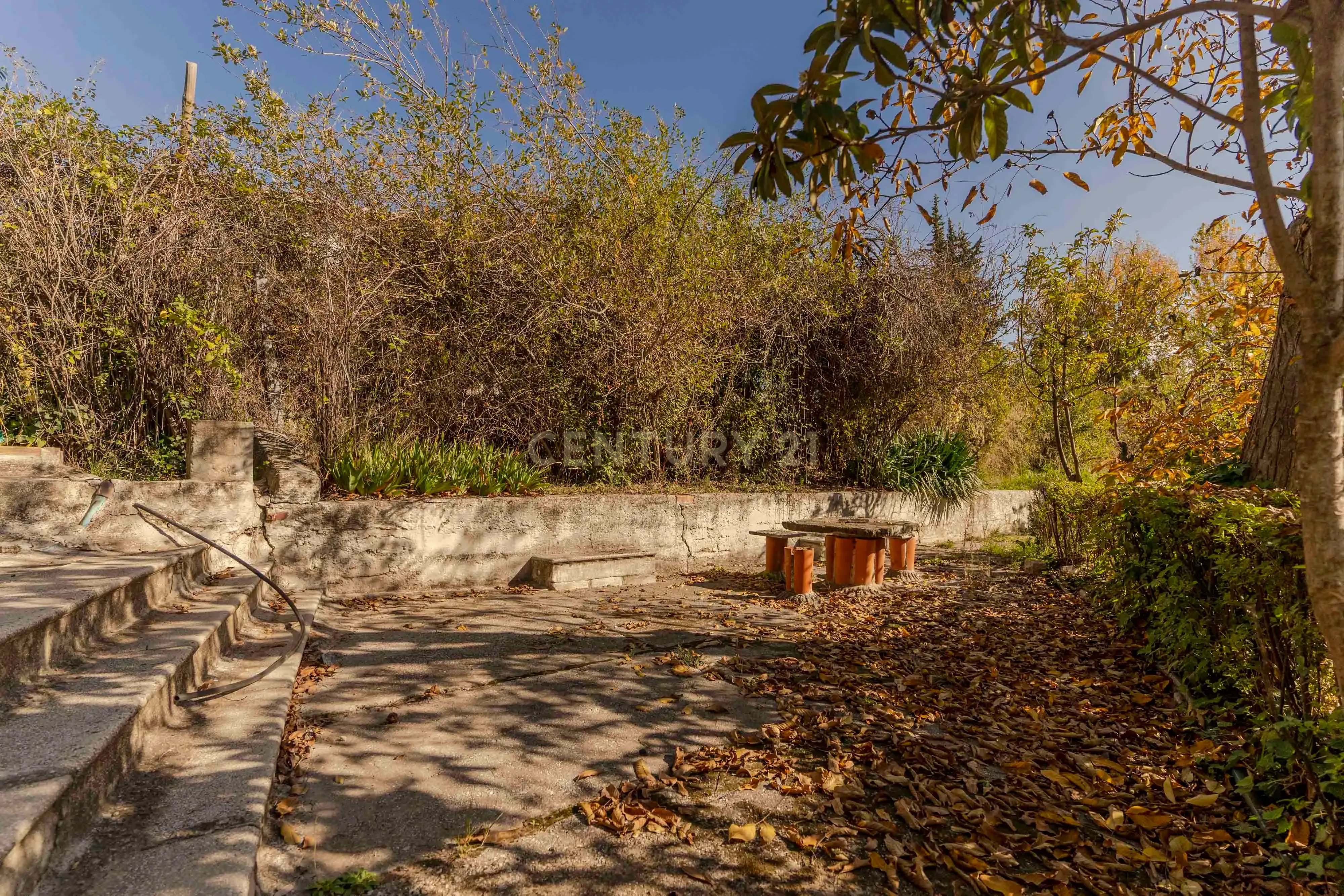 undefined - Image 83