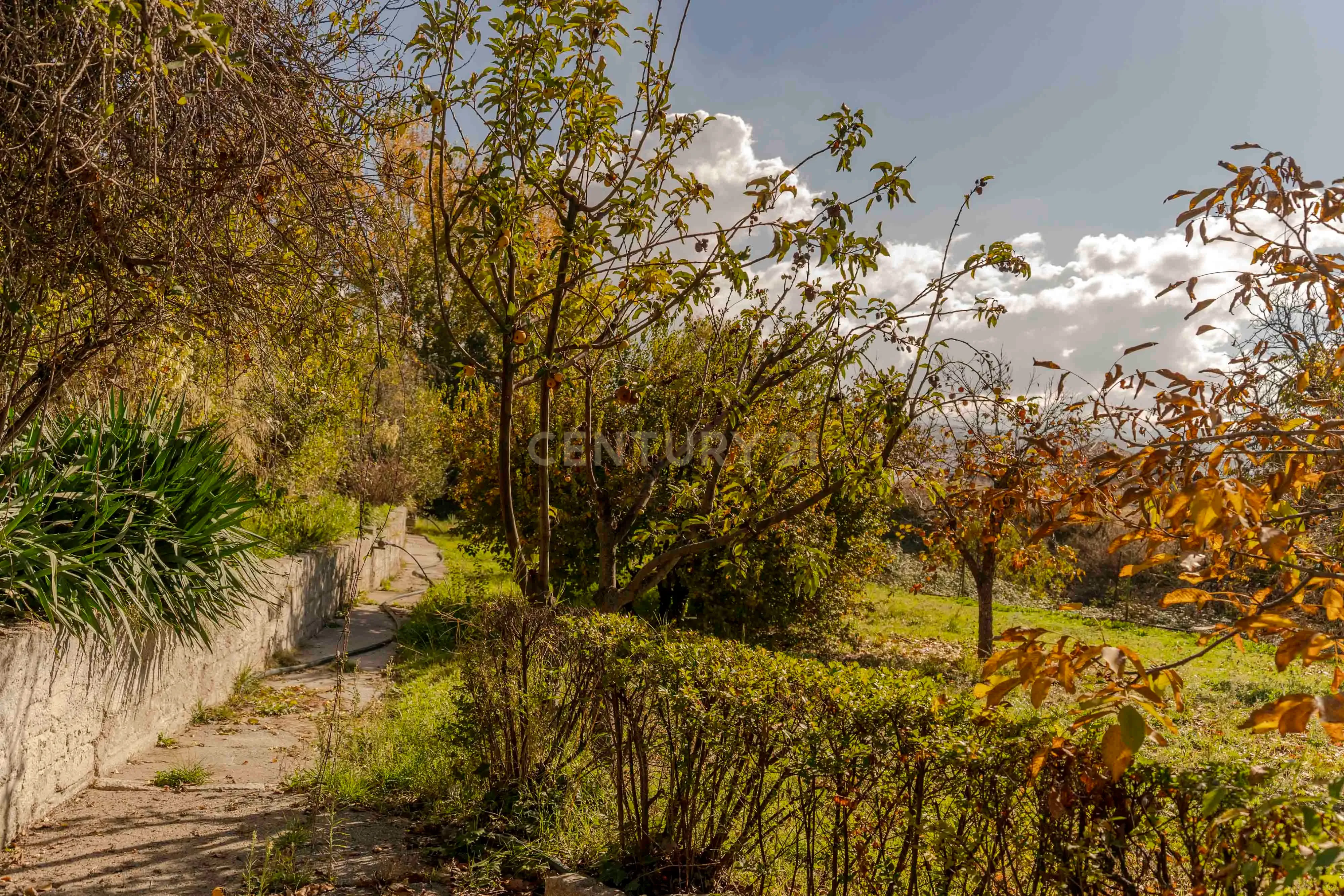 undefined - Image 78