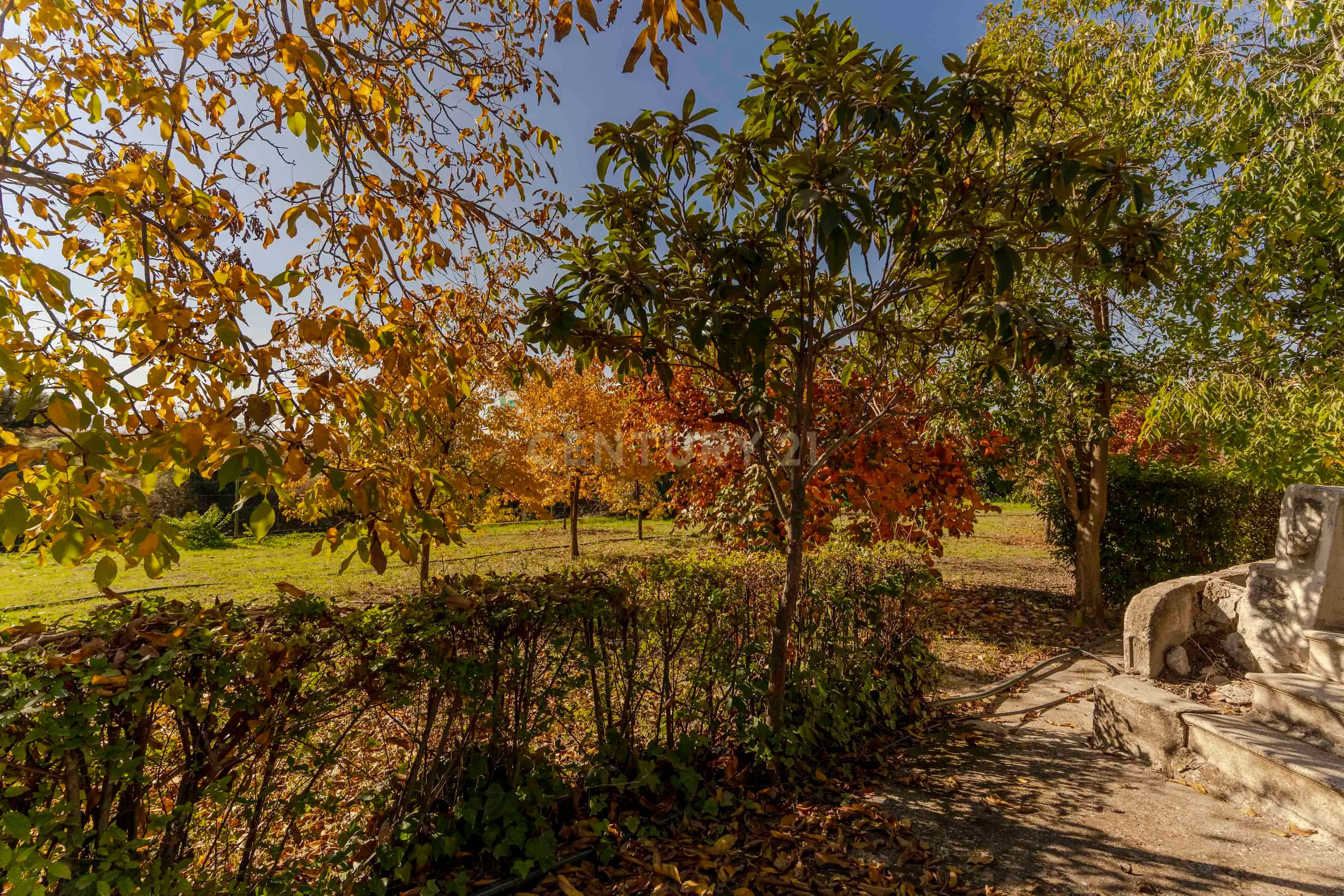 undefined - Image 82