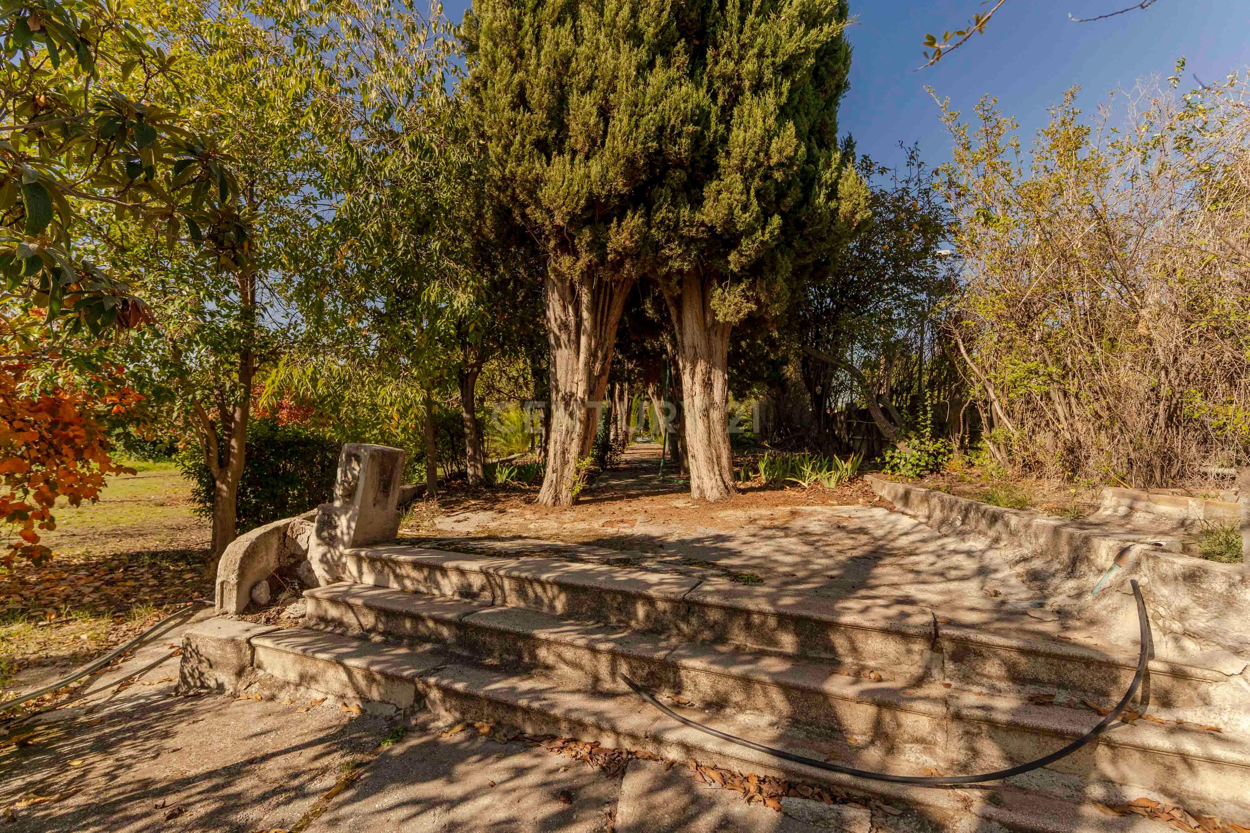 undefined - Image 80