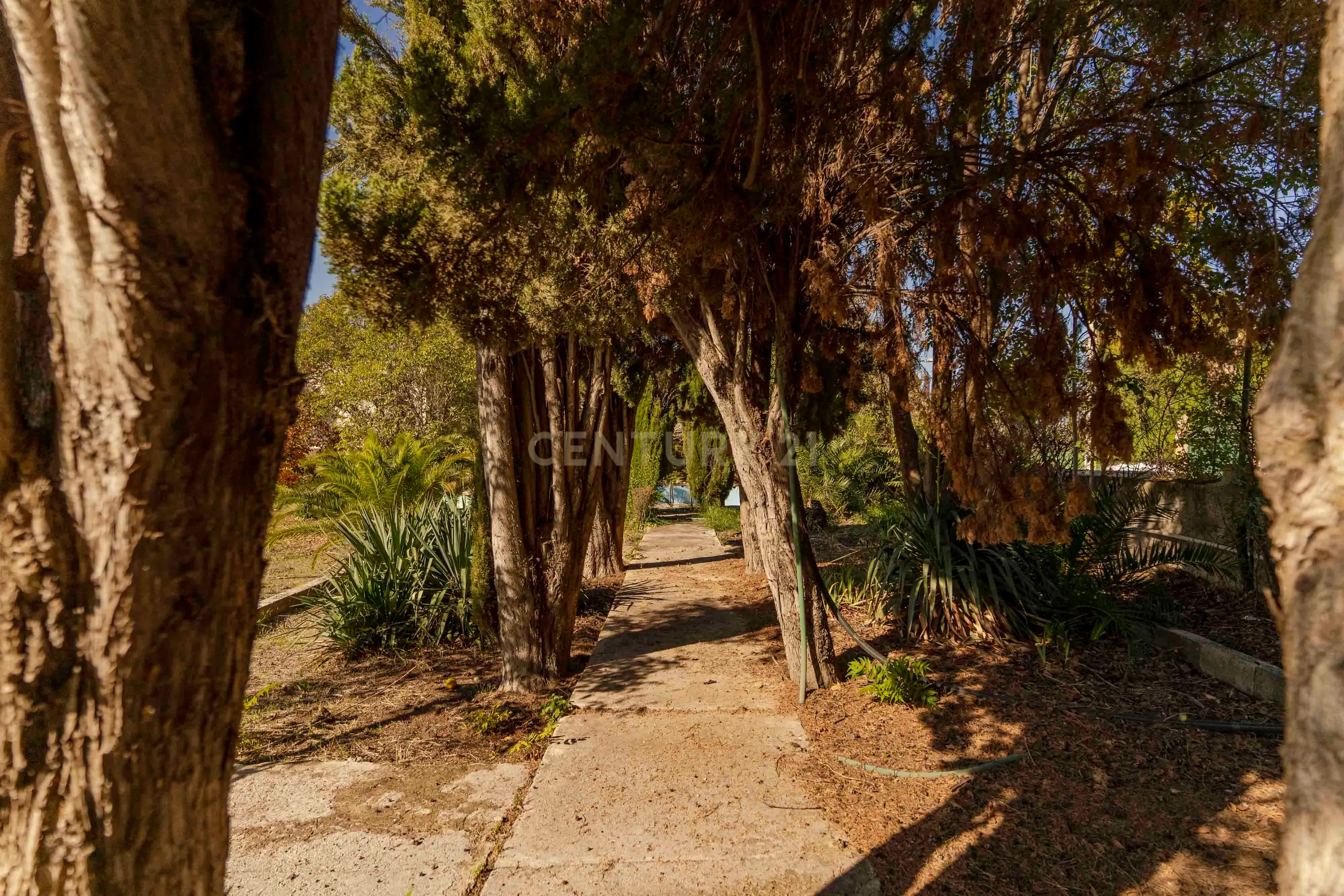 undefined - Image 81