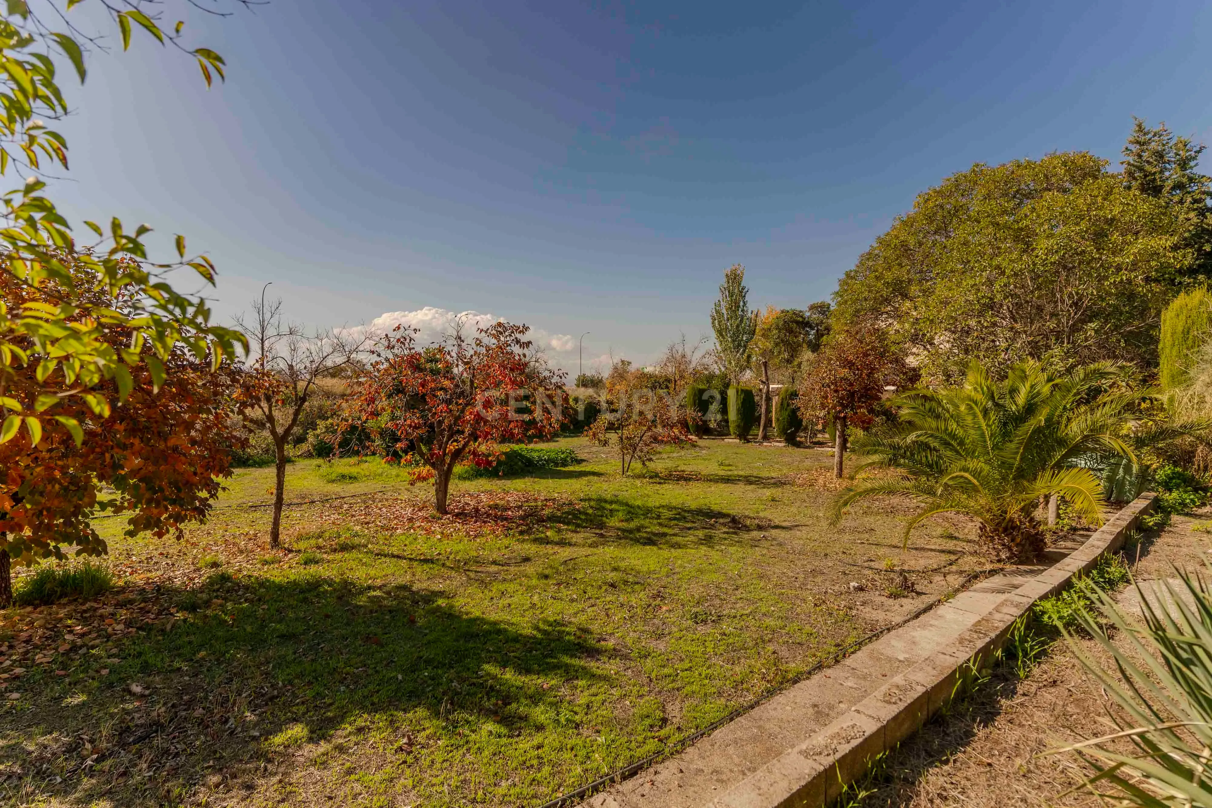 undefined - Image 84