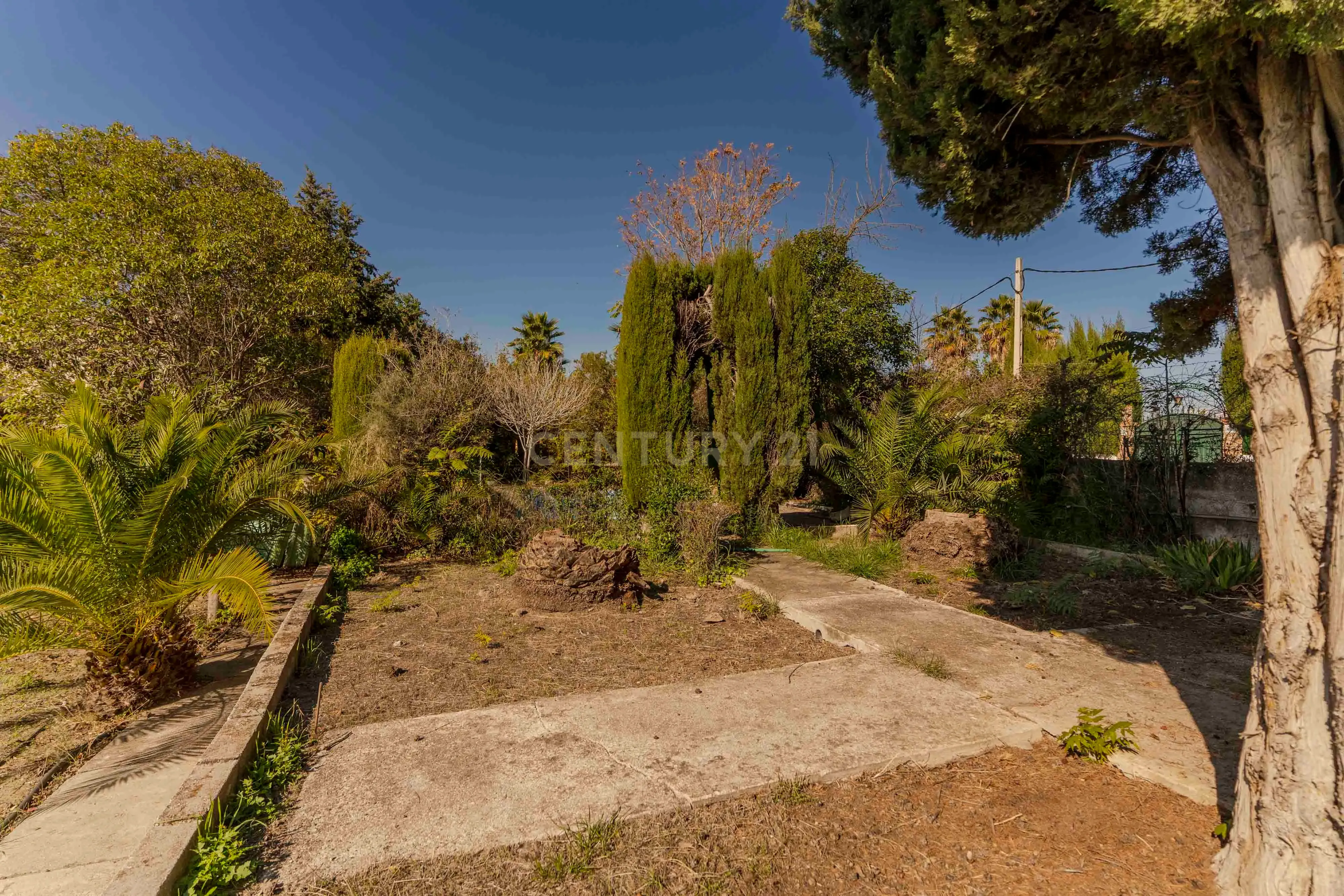 undefined - Image 86