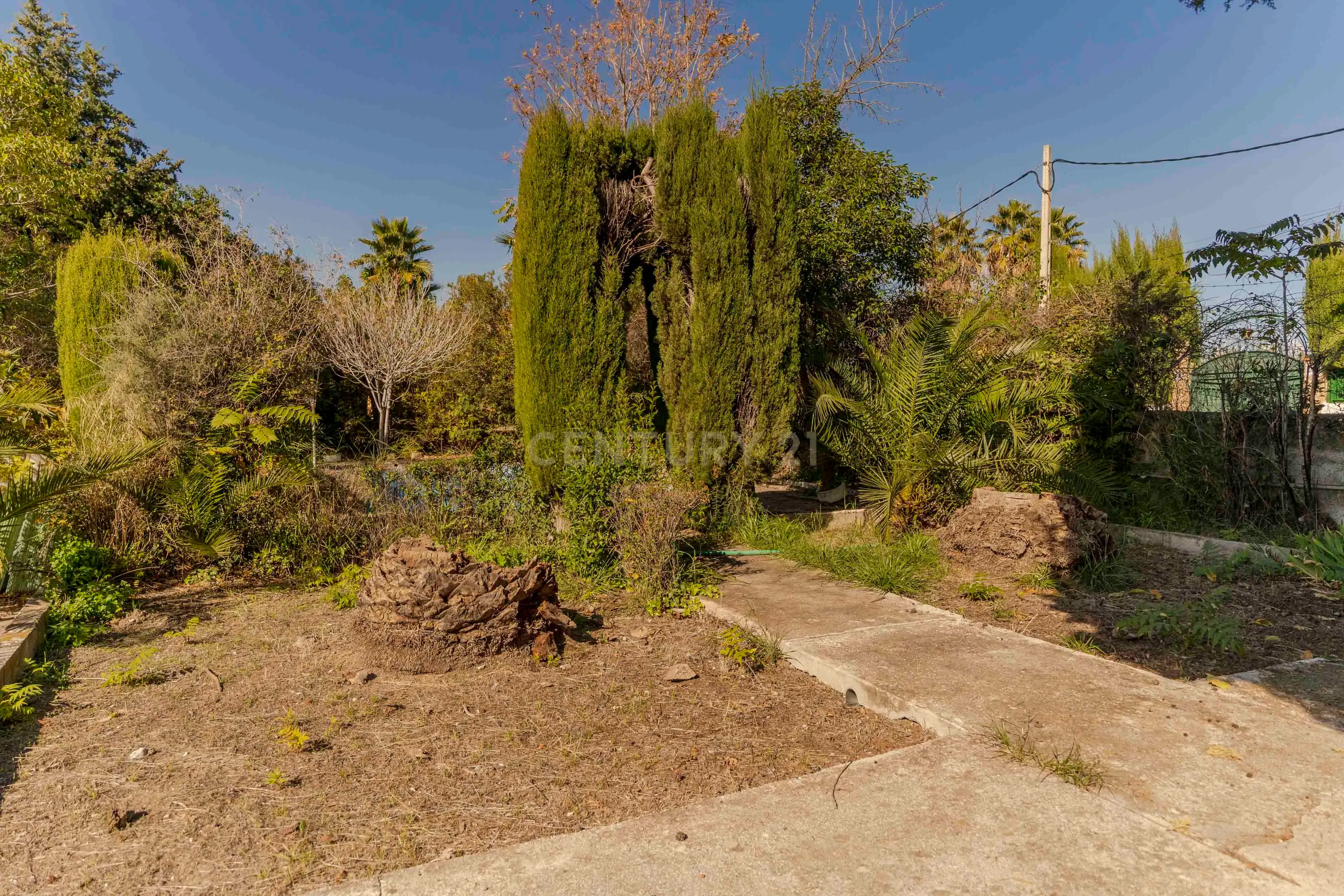 undefined - Image 87