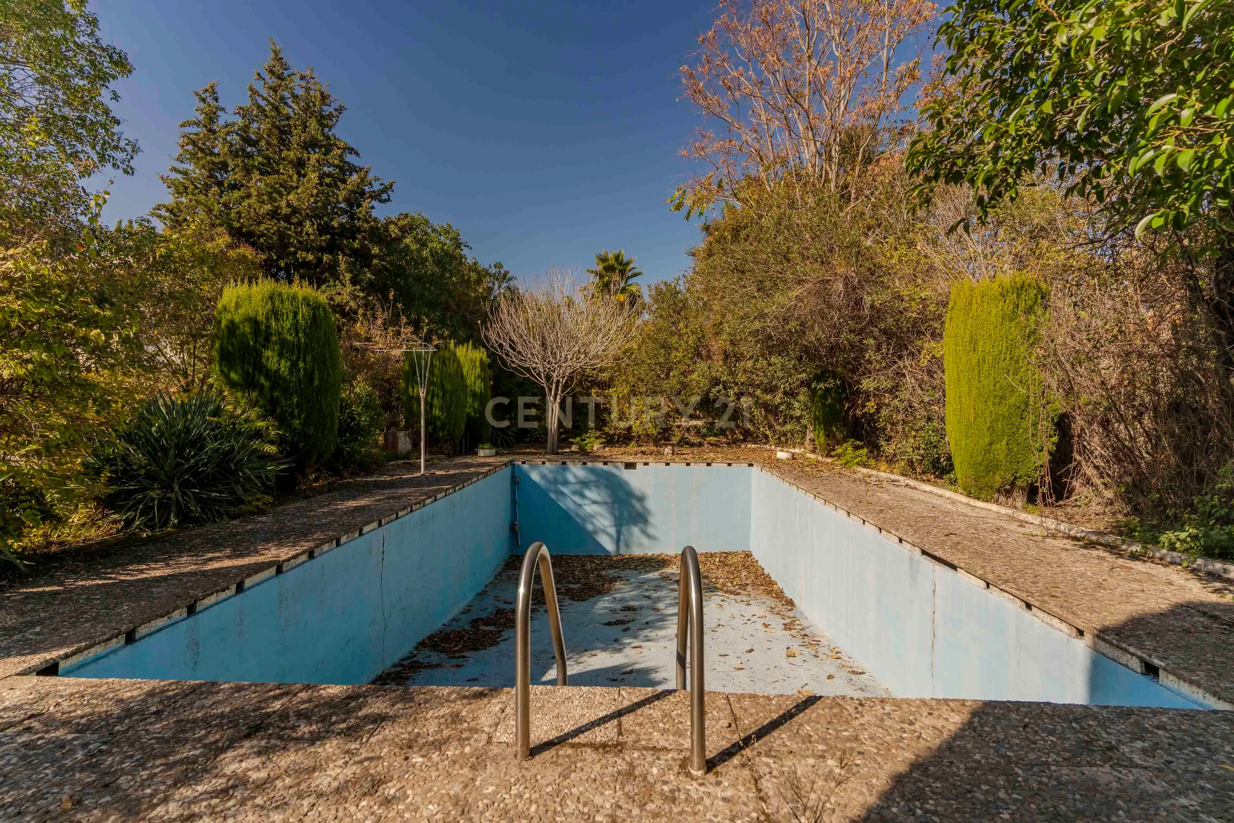 undefined - Image 40