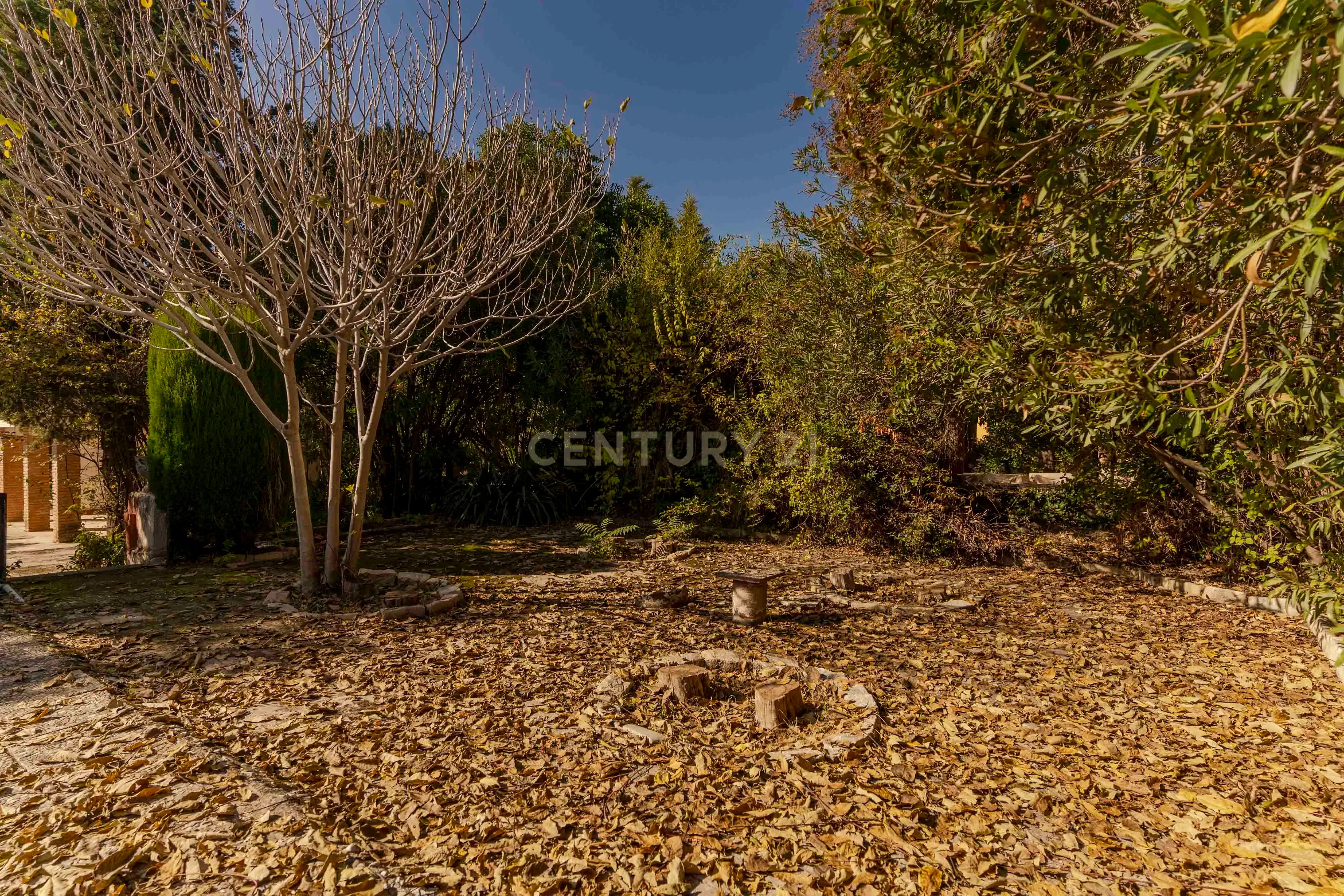 undefined - Image 88