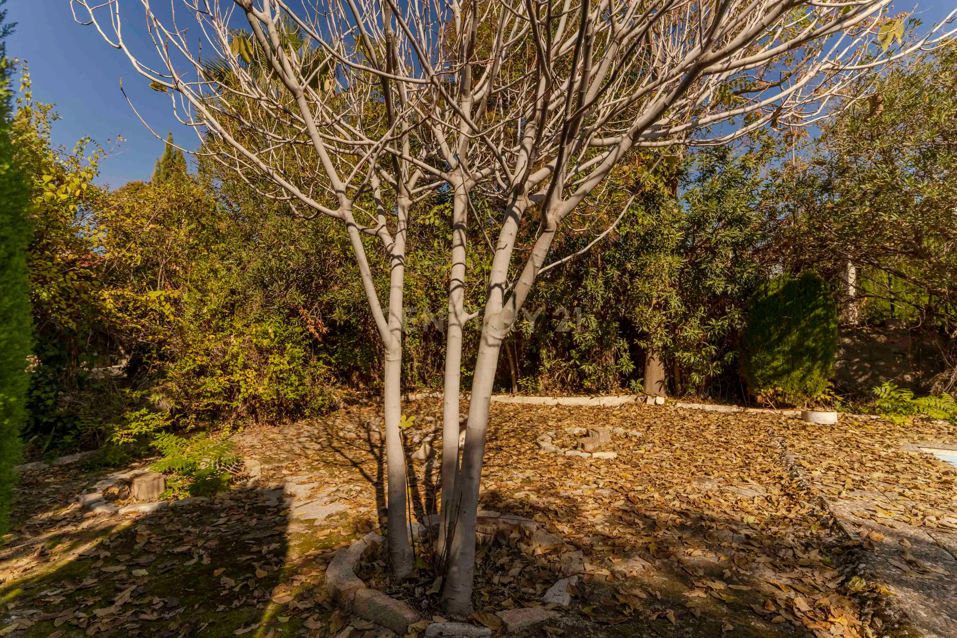 undefined - Image 91
