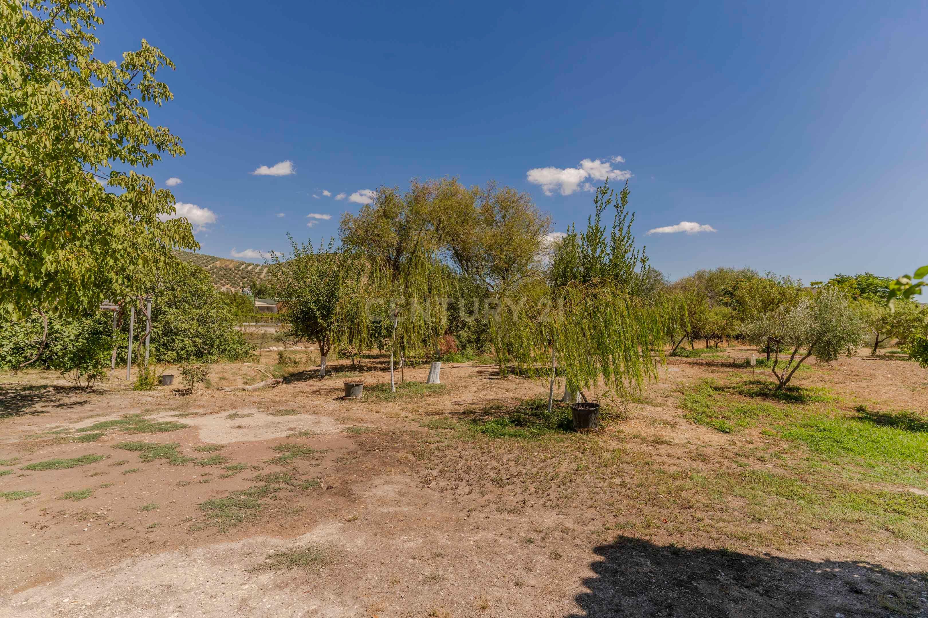 undefined - Image 70