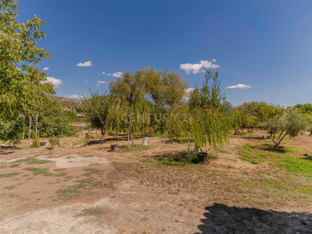 undefined - Image 70