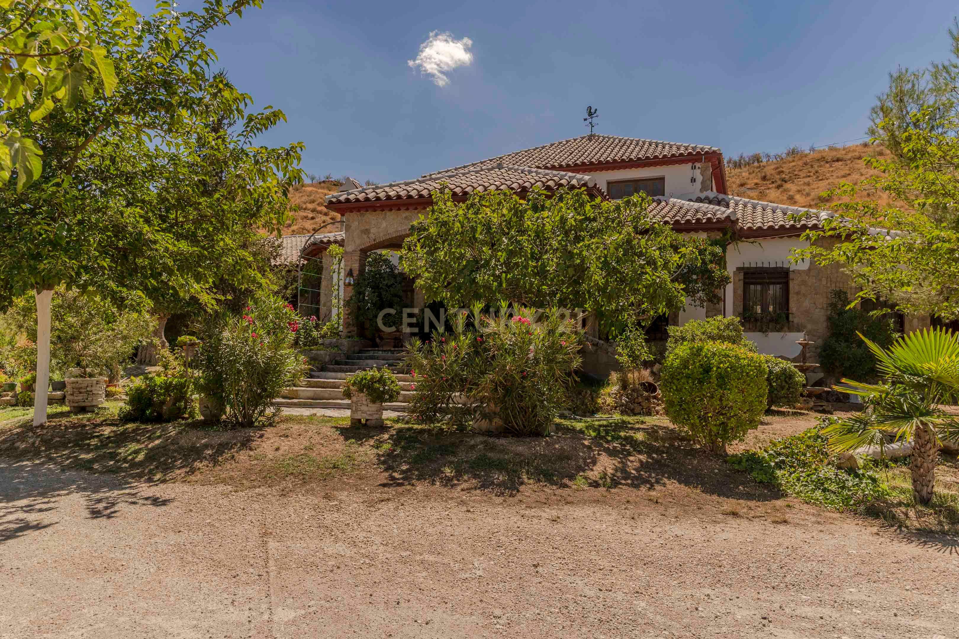 undefined - Image 77