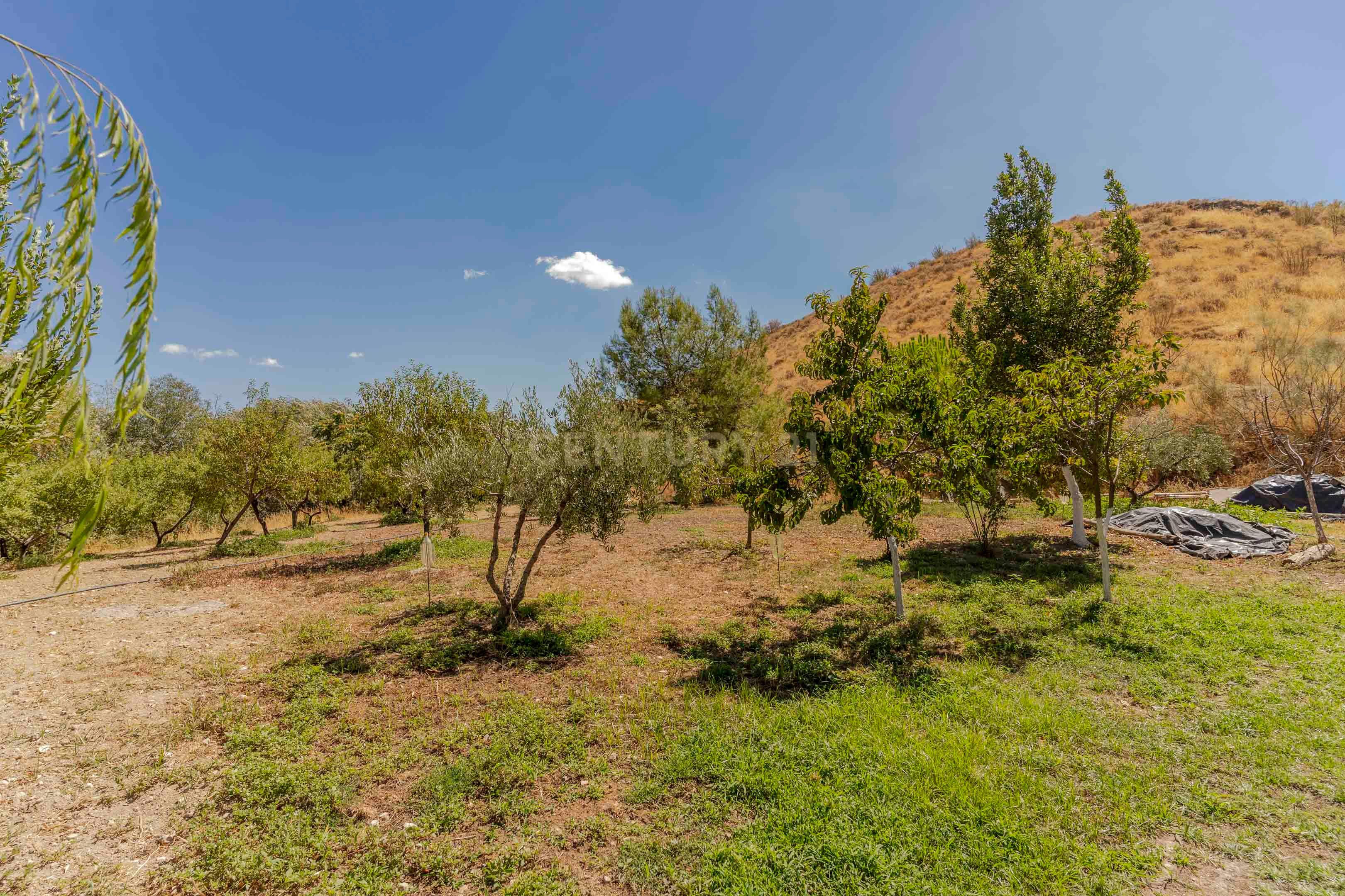 undefined - Image 78