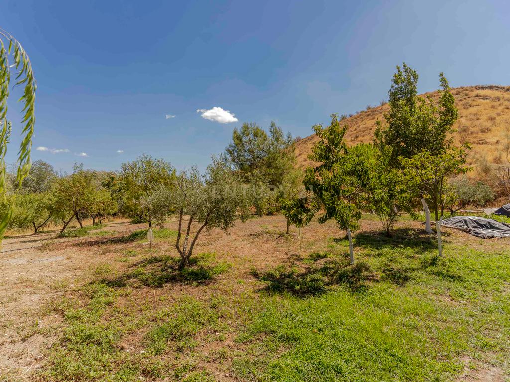 undefined - Image 78