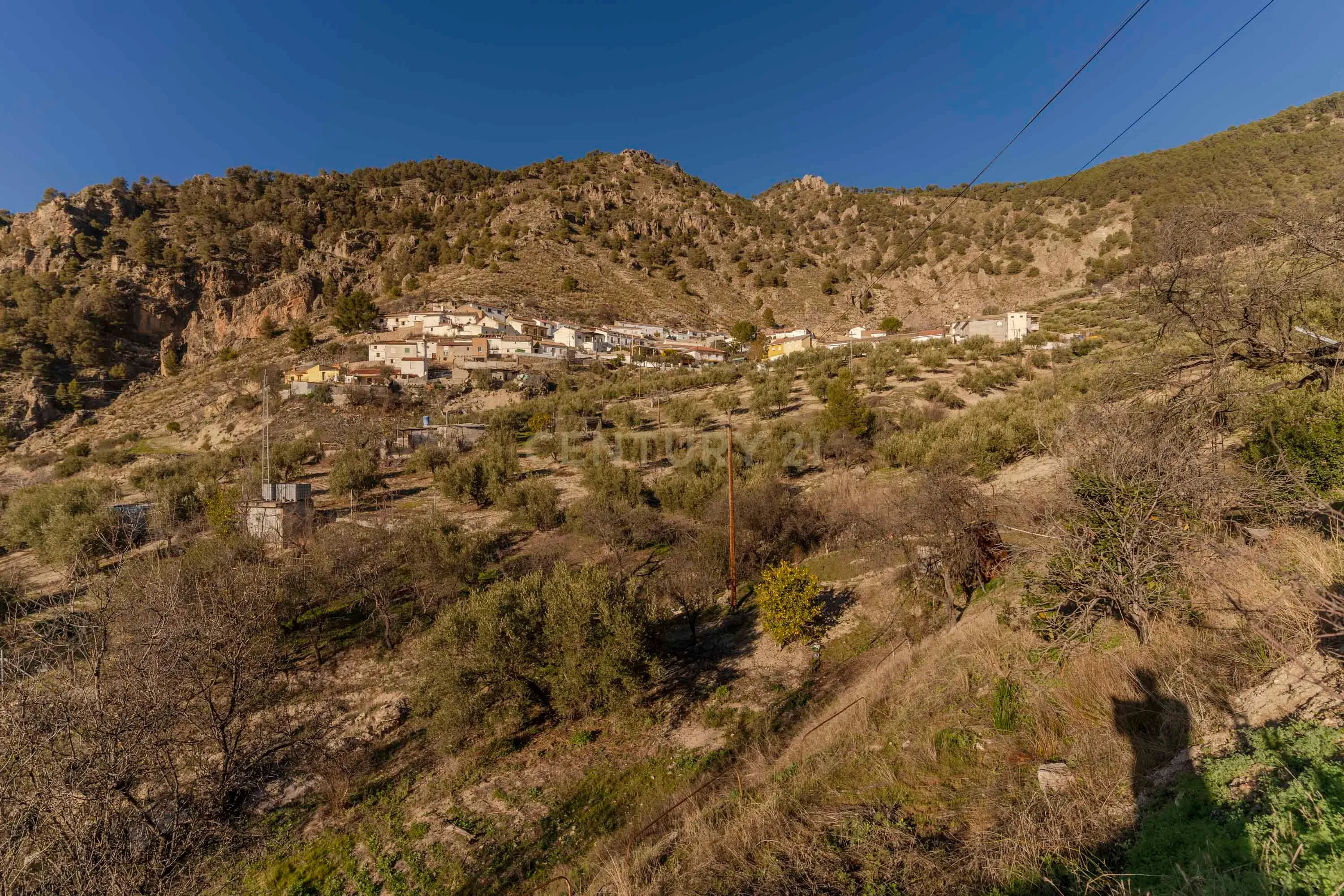 undefined - Image 45