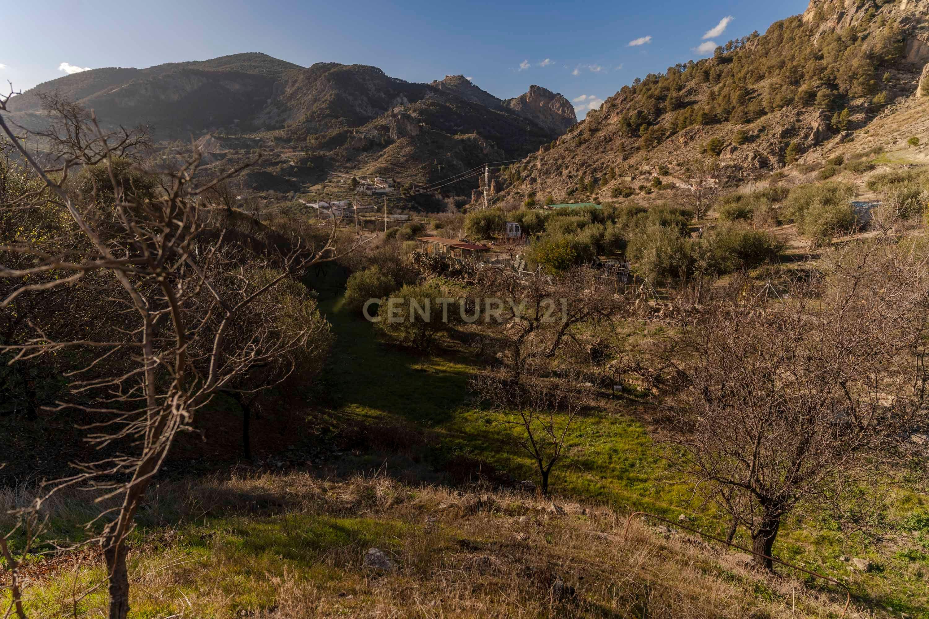 undefined - Image 44