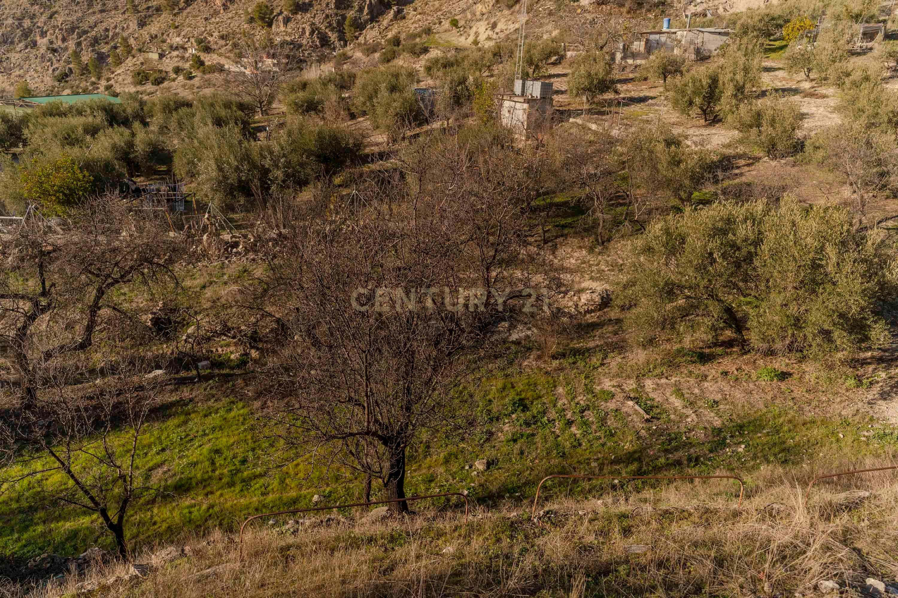 undefined - Image 46