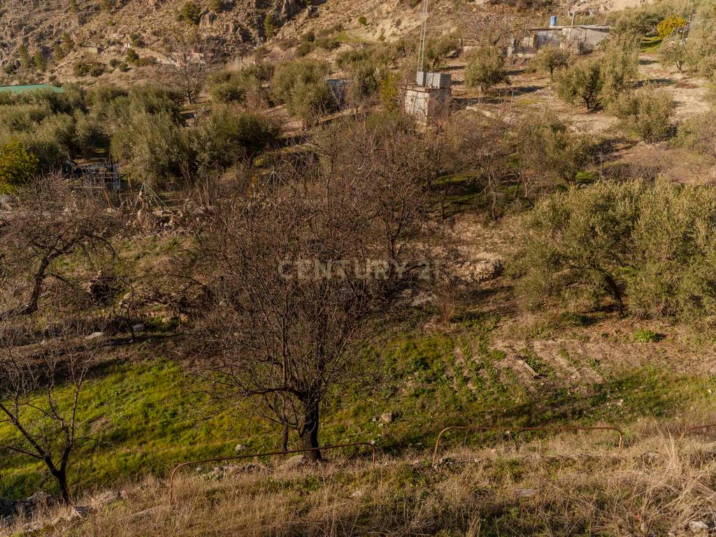 undefined - Image 46
