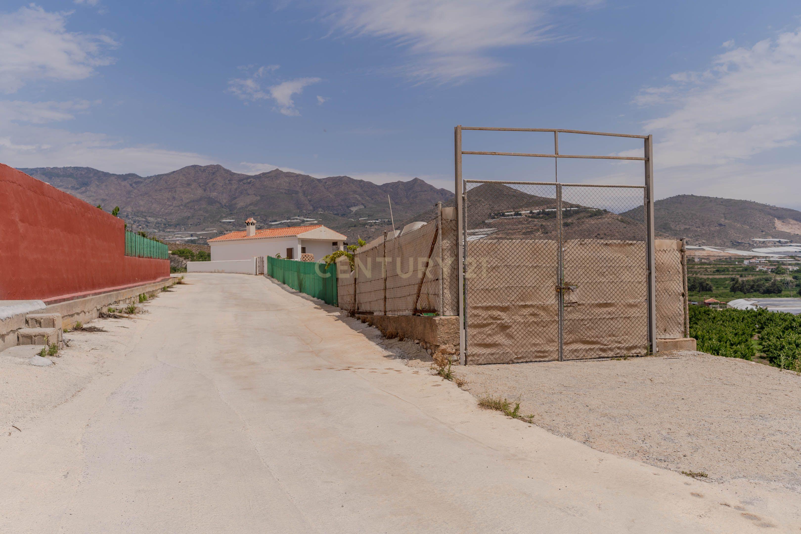 undefined - Image 25