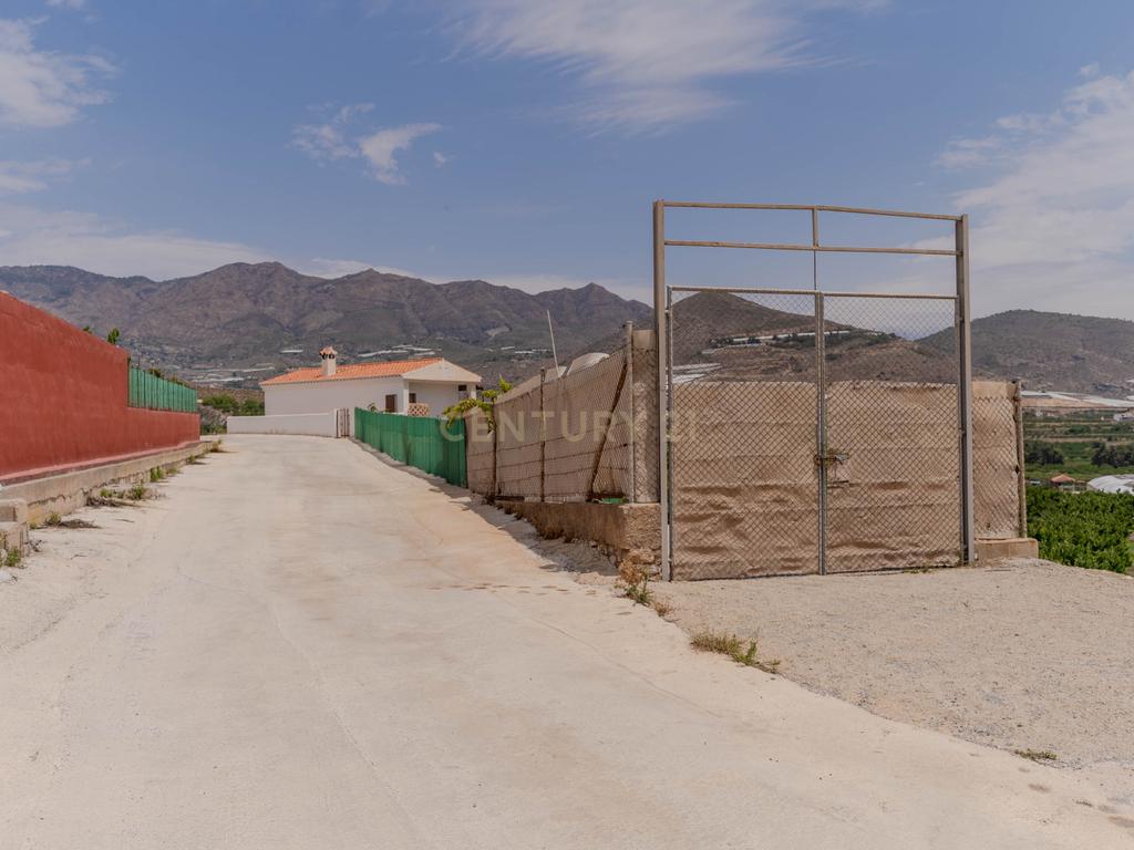 undefined - Image 25