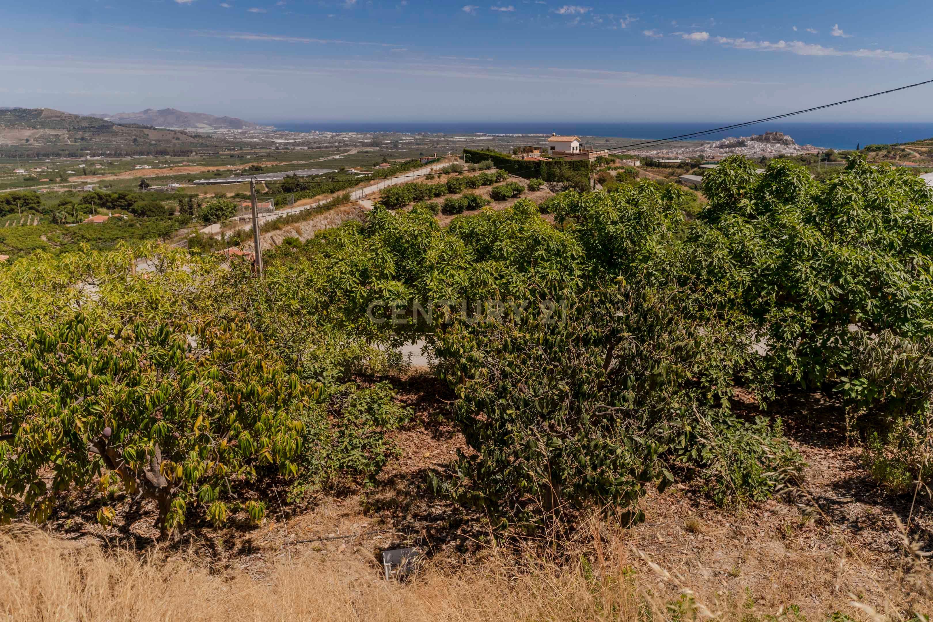 undefined - Image 35