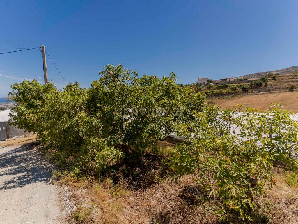 undefined - Image 30