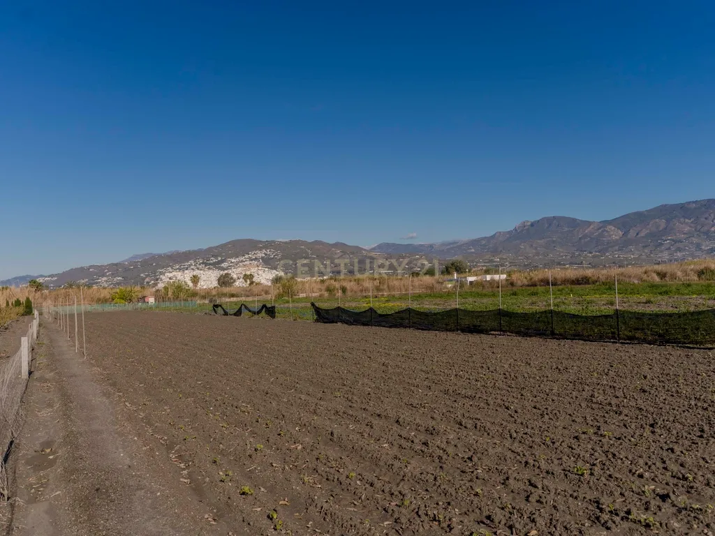 undefined - Image 16