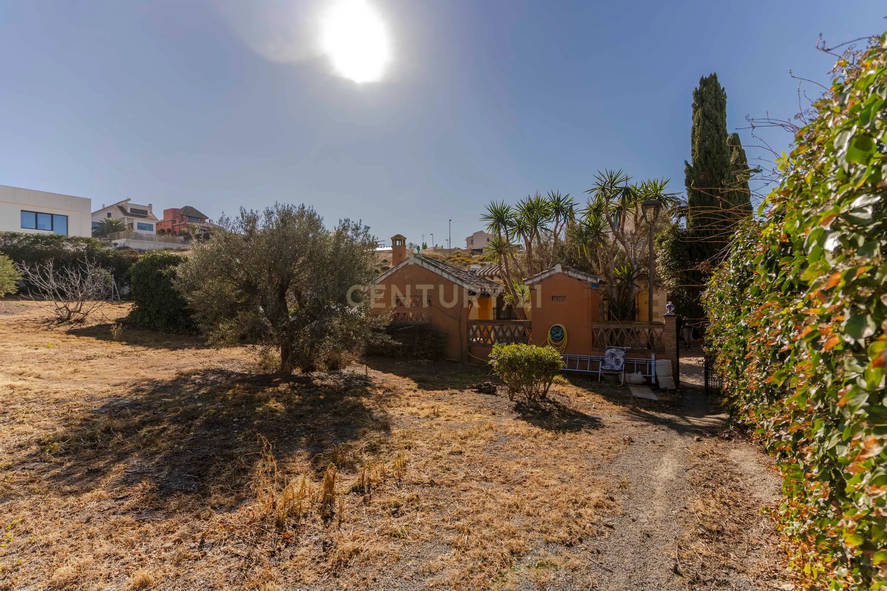 undefined - Image 82