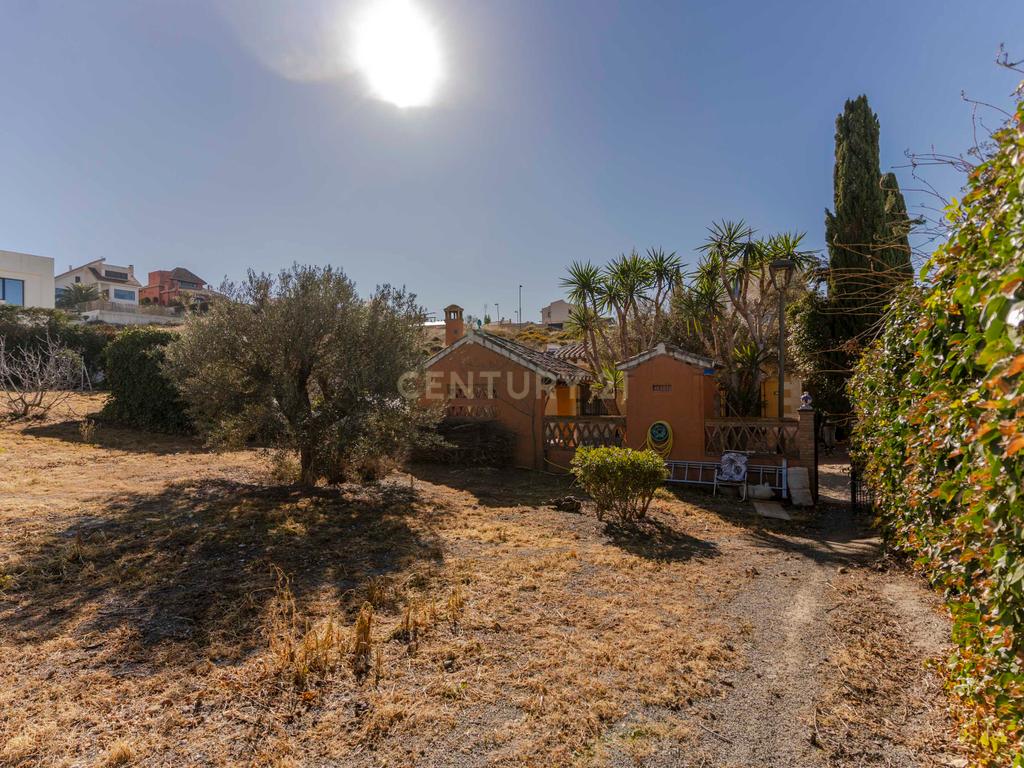 undefined - Image 82