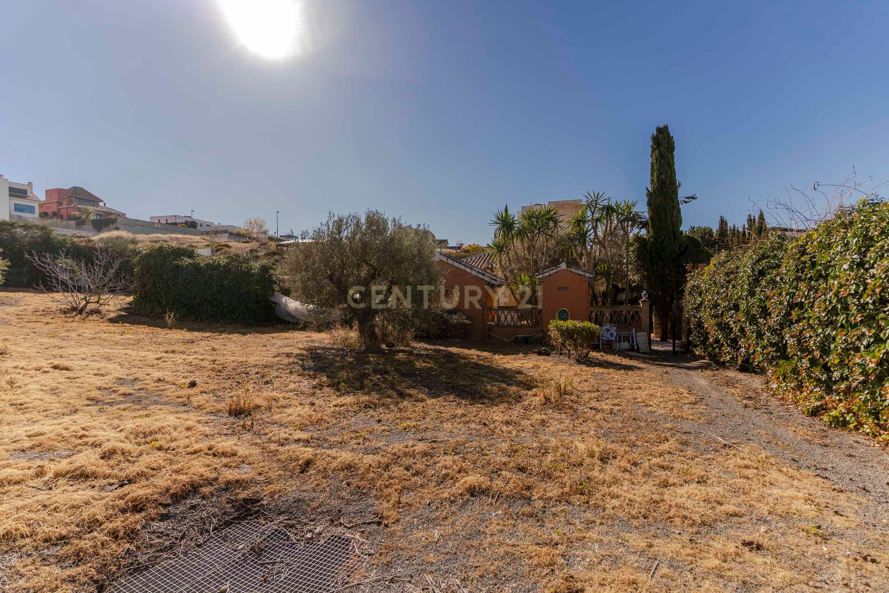 undefined - Image 78