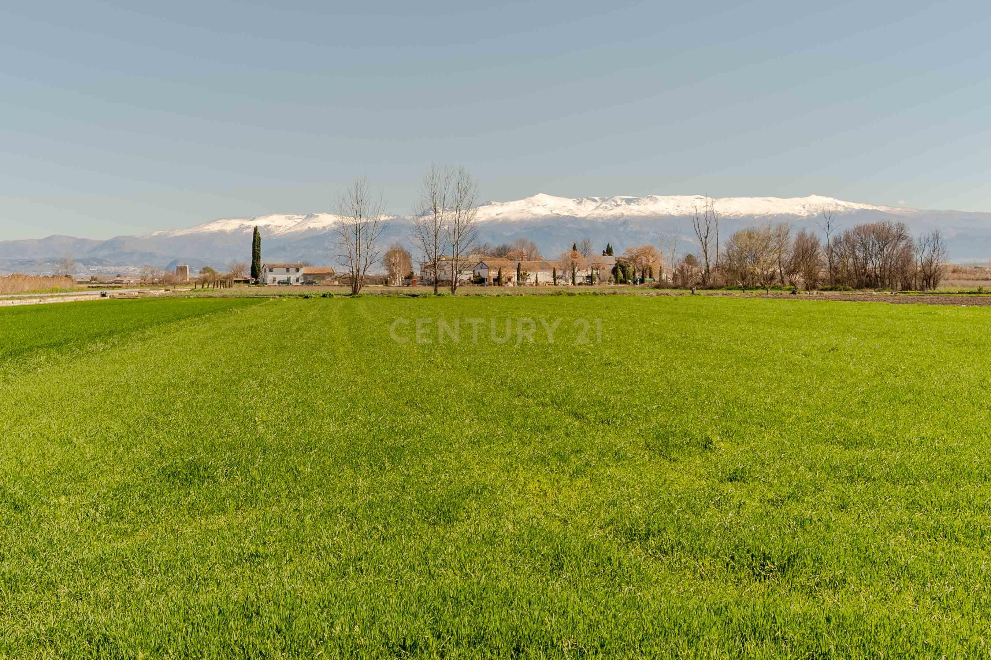 undefined - Image 61
