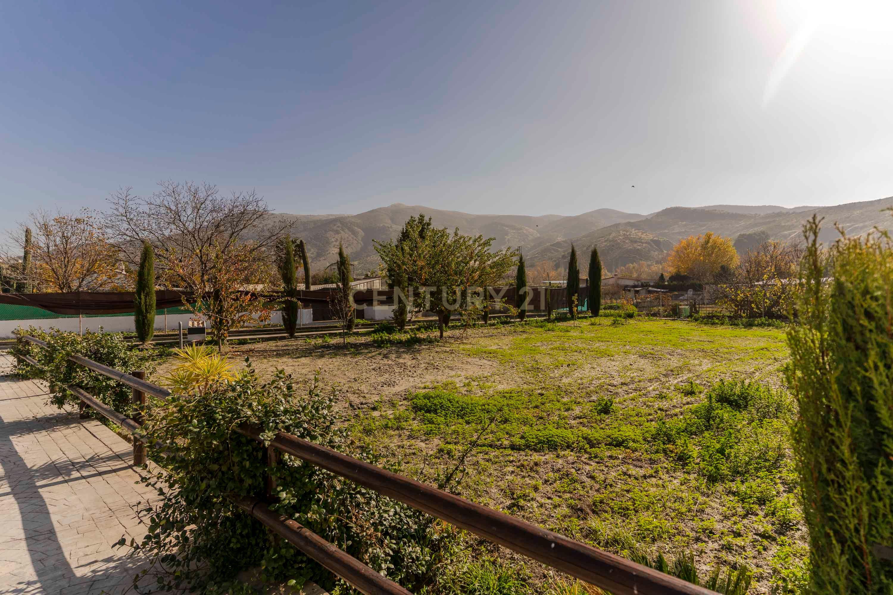 undefined - Image 92