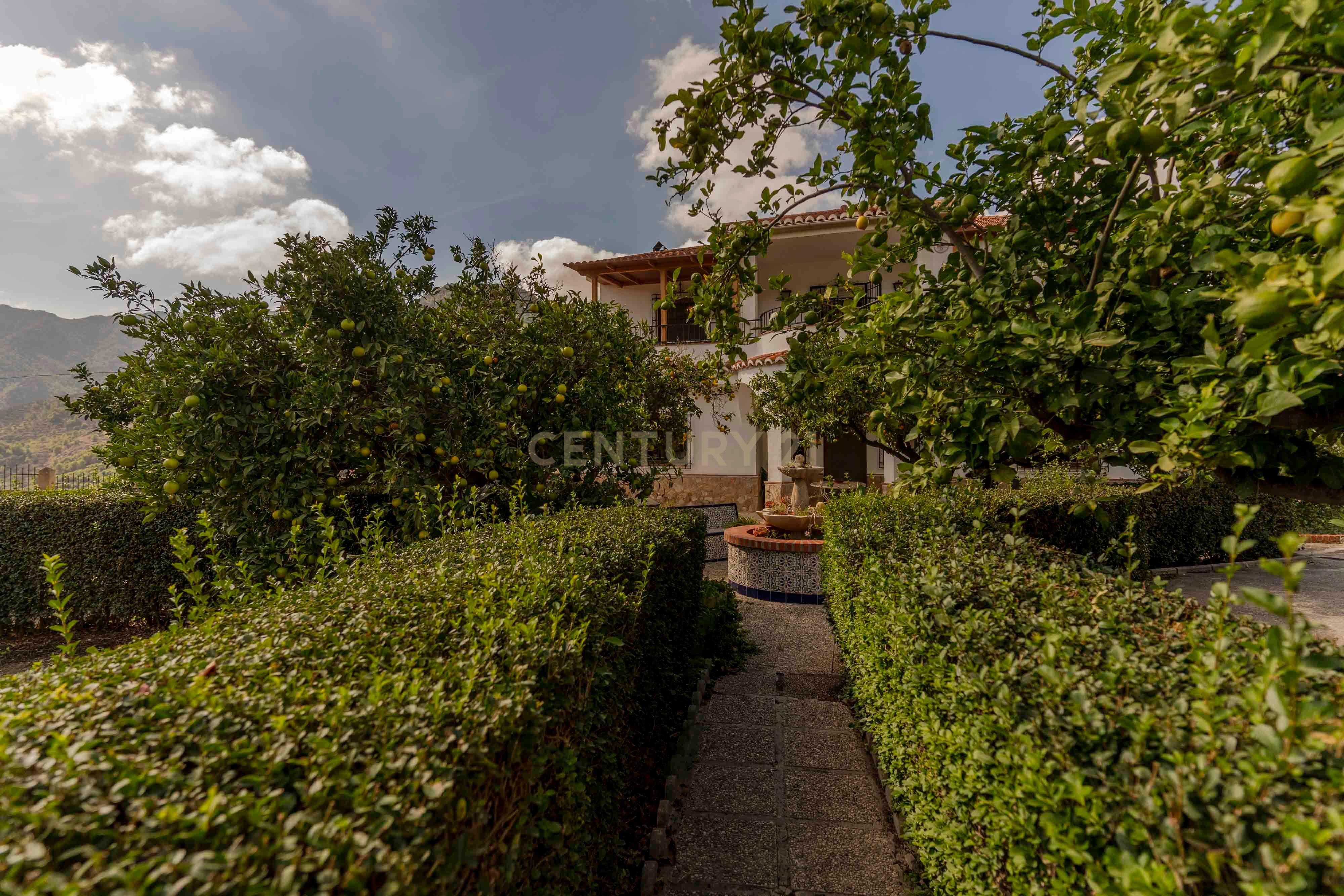 undefined - Image 7