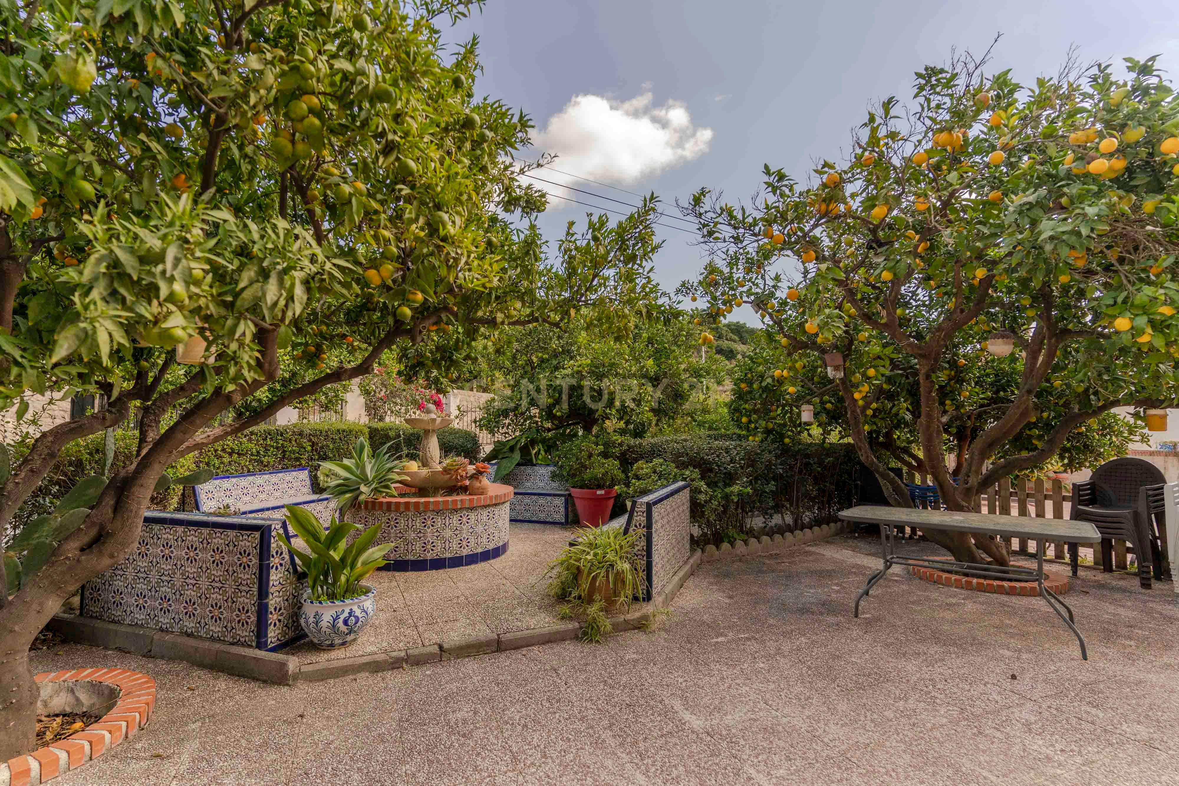 undefined - Image 8