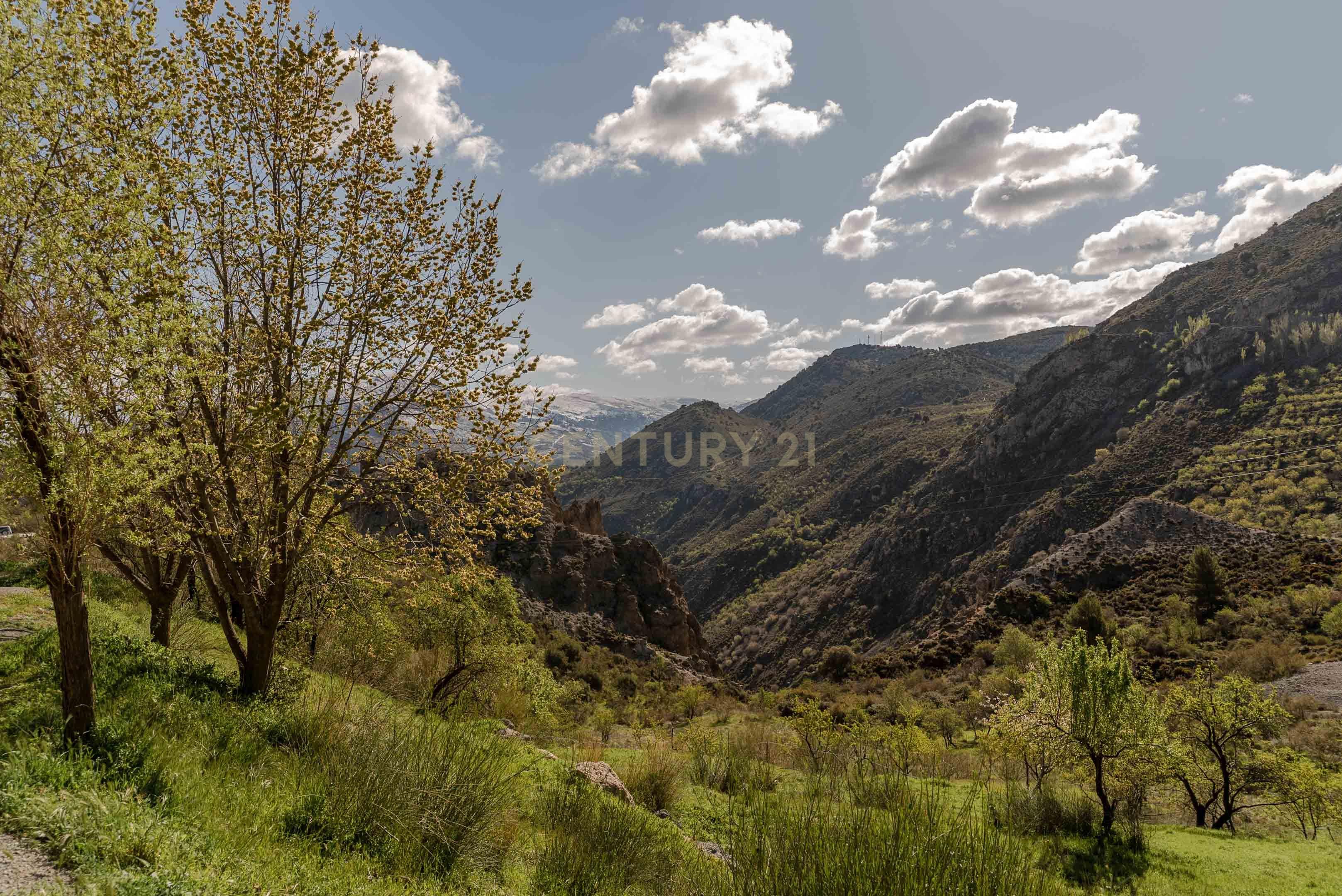 undefined - Image 65