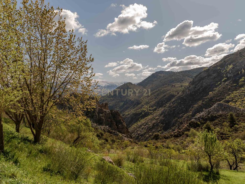 undefined - Image 65
