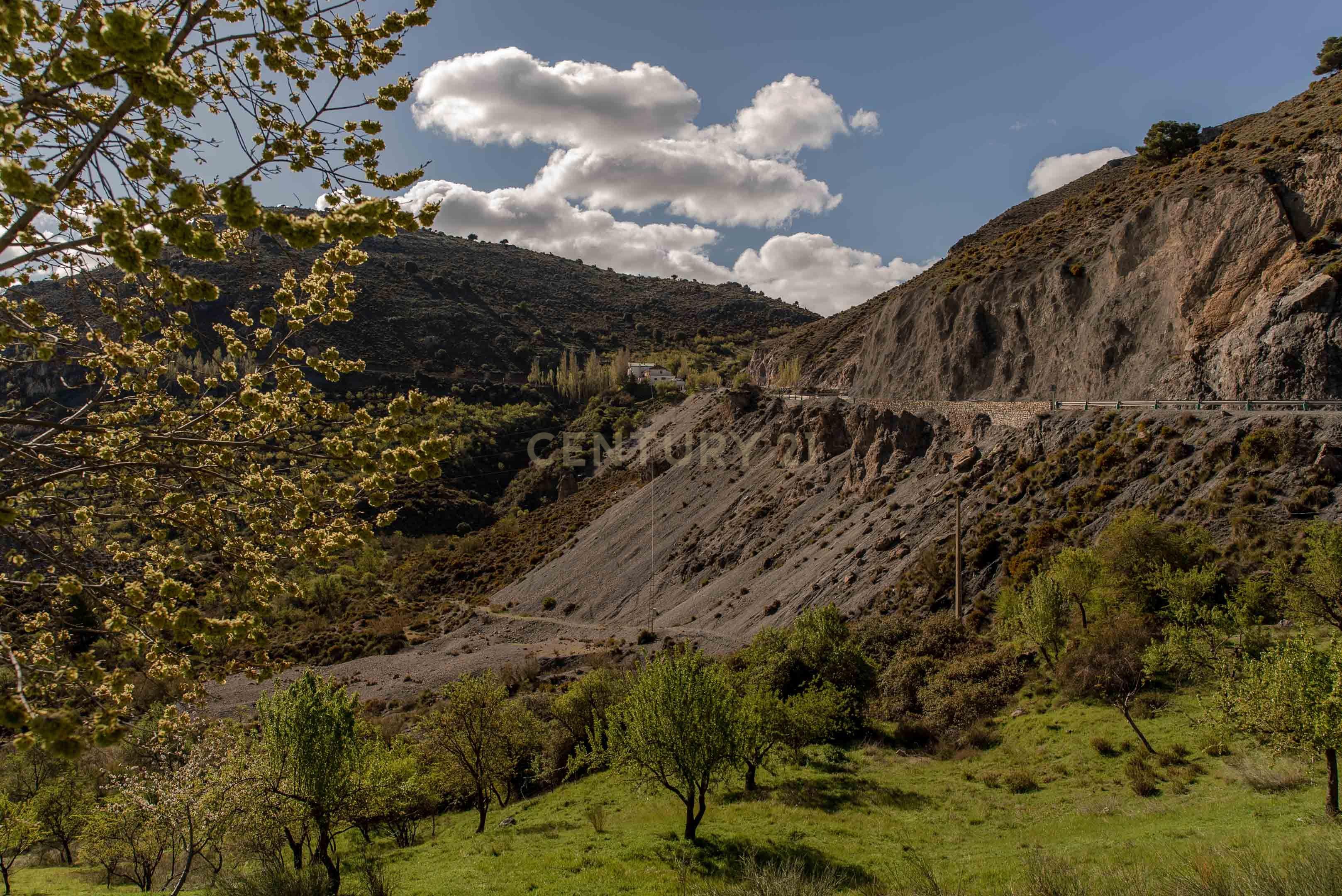 undefined - Image 66