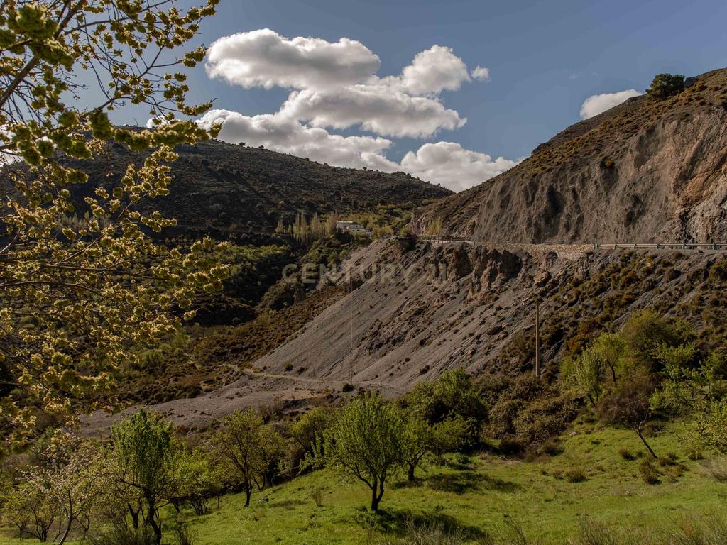 undefined - Image 66