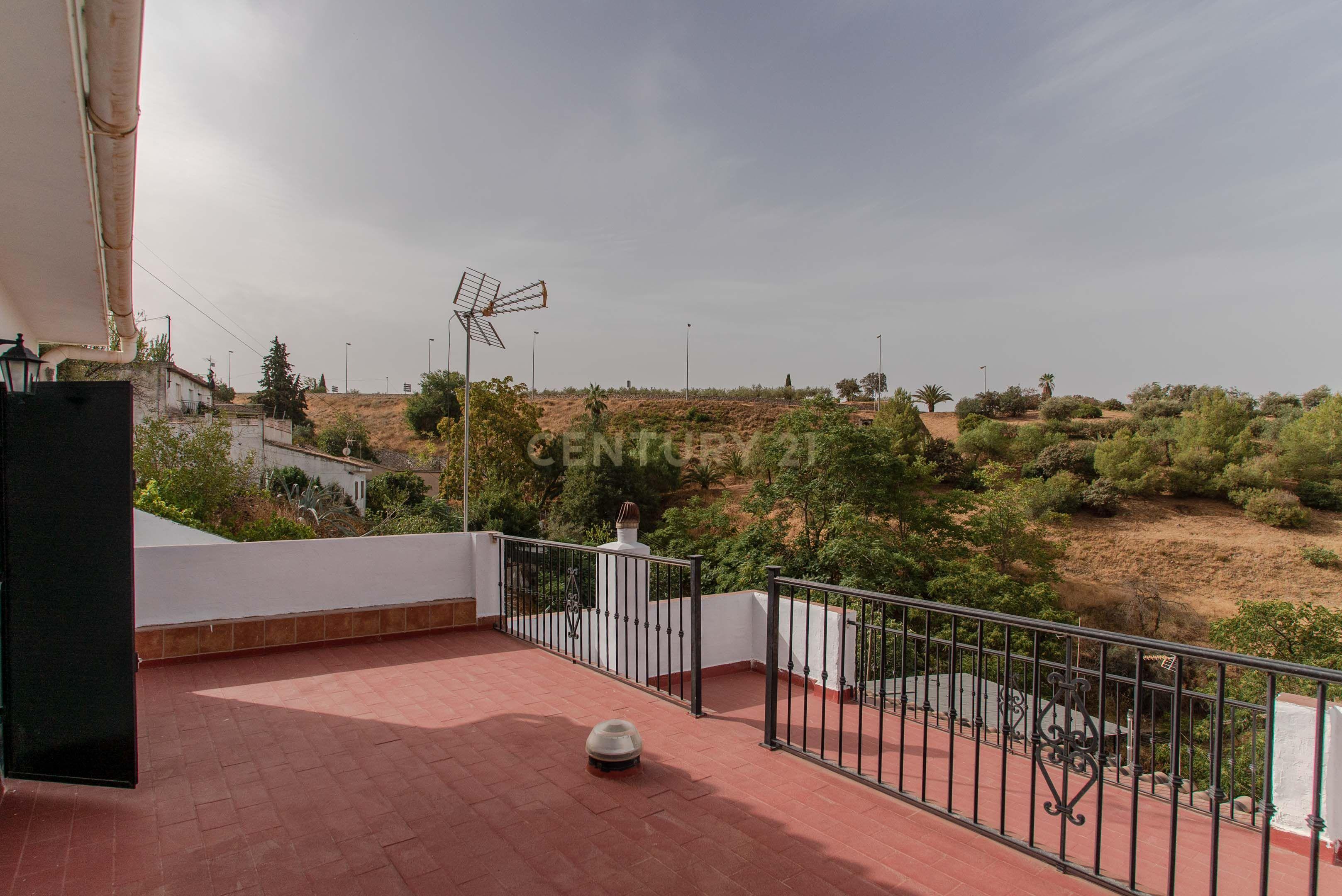 undefined - Image 13