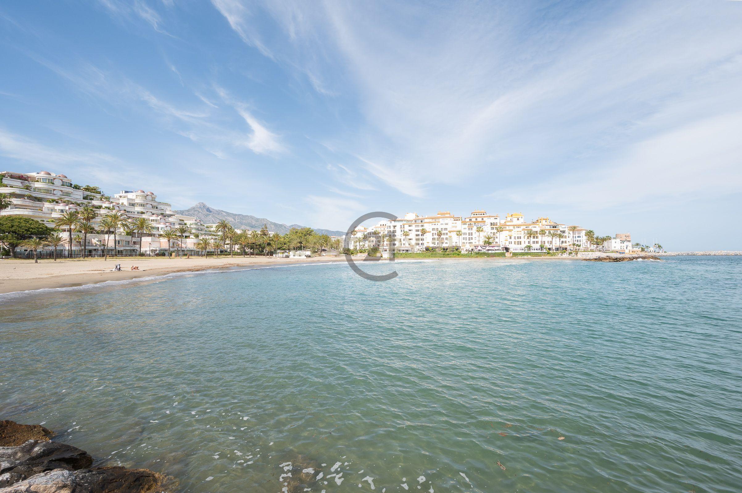 undefined - Image 32