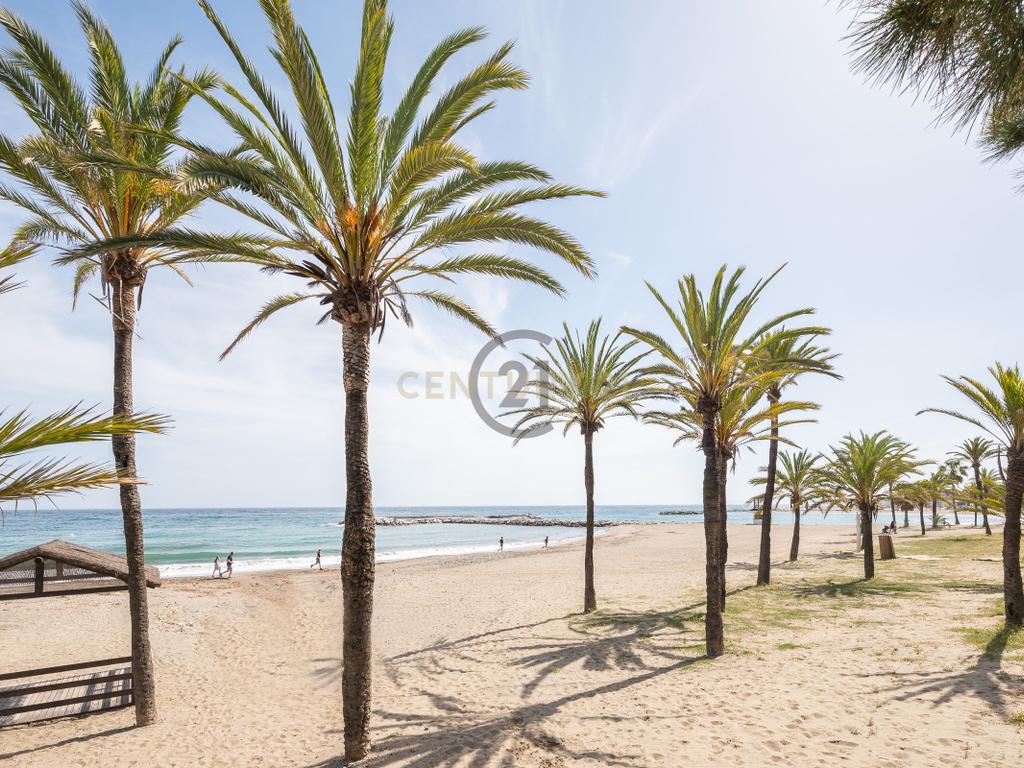 undefined - Image 26
