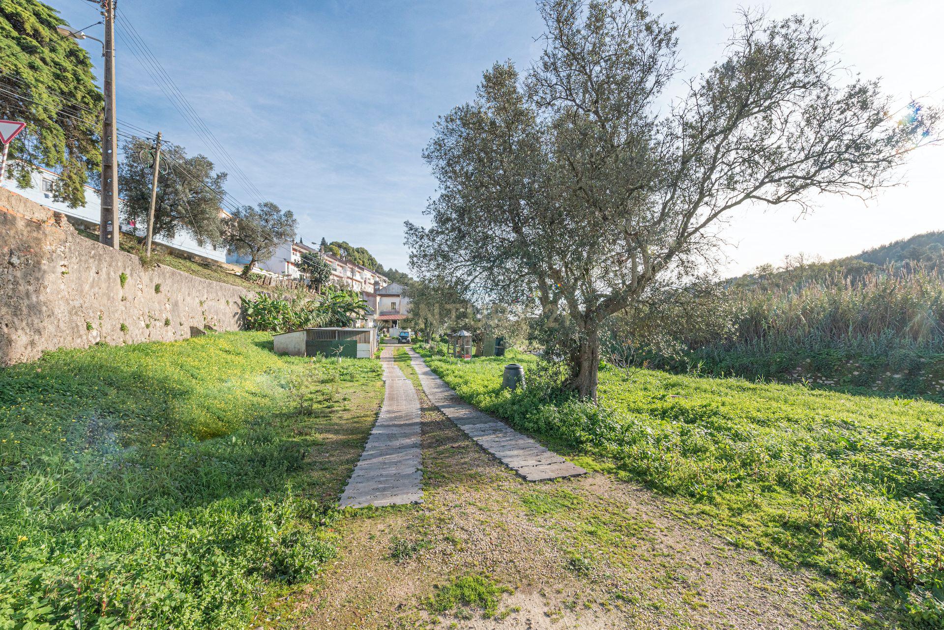 Quinta Encantadora no Coração de Barcarena - Image 23