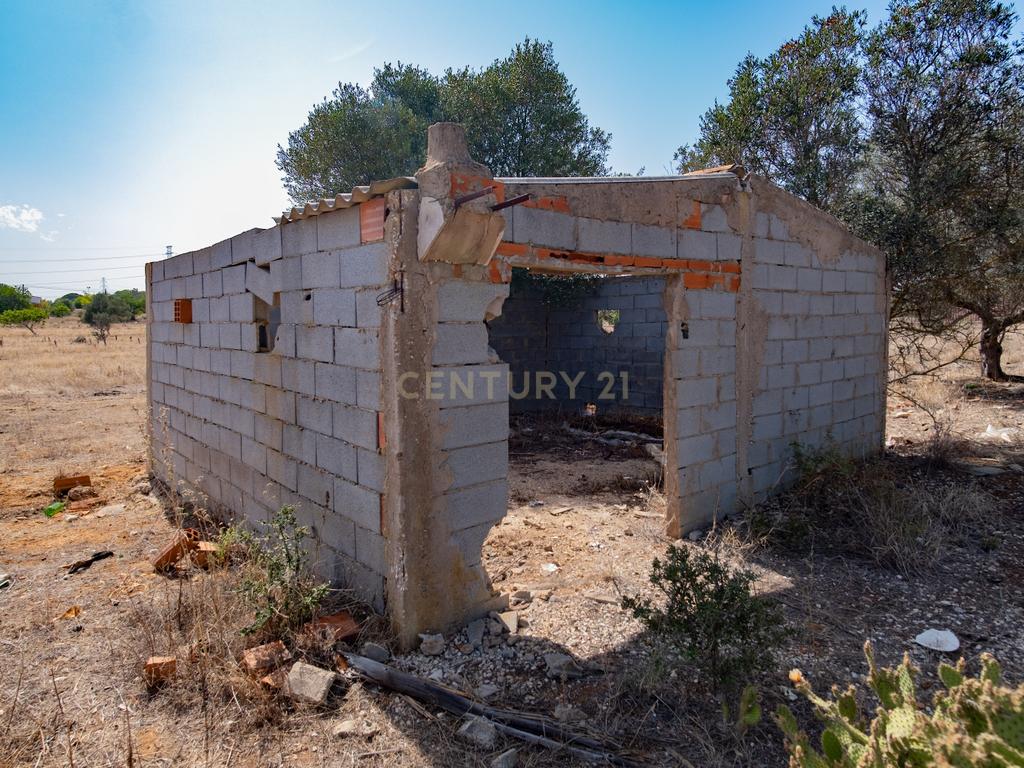 Terreno rustico de 8 040 m2 em Tunes - Image 6