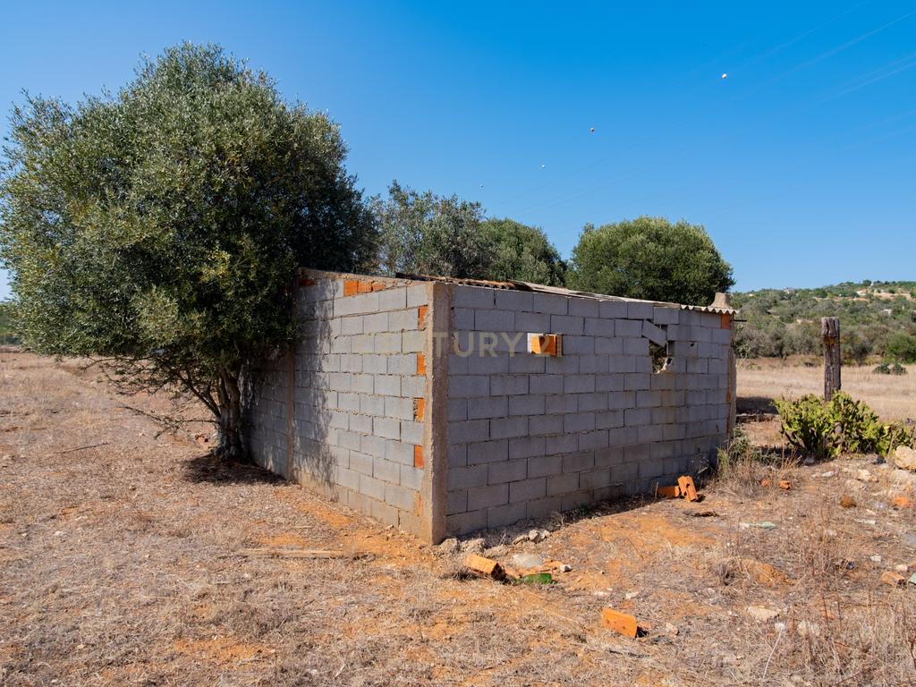 Terreno rustico de 8 040 m2 em Tunes - Image 4