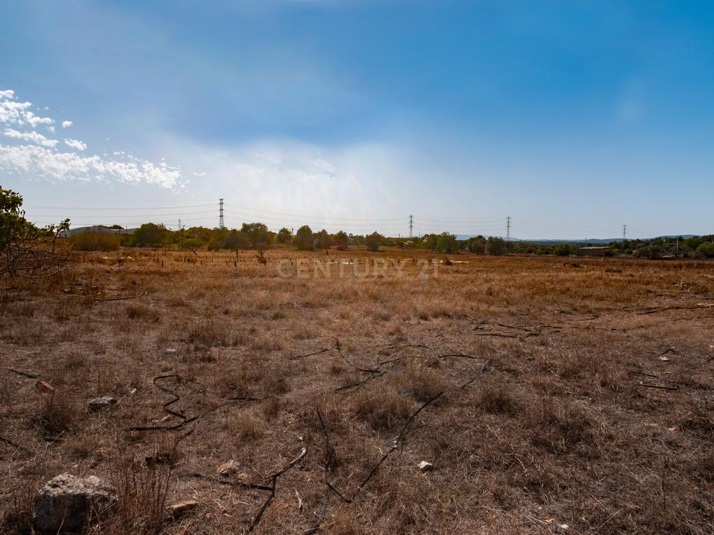 Terreno rustico de 8 040 m2 em Tunes - Image 1