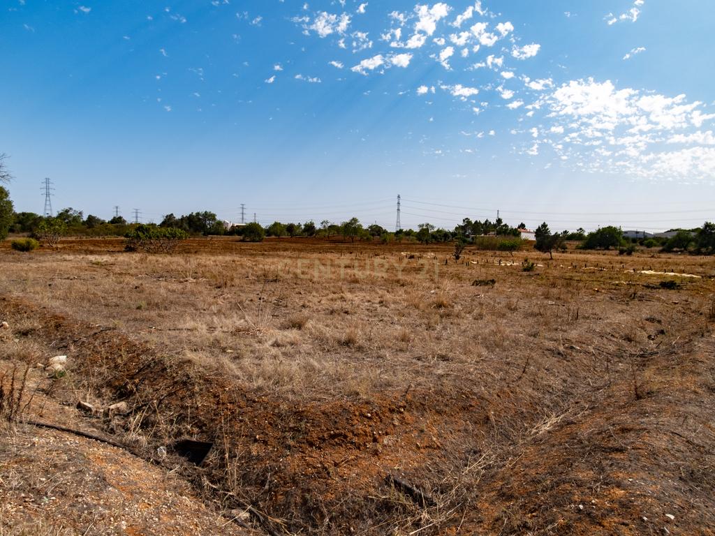 Terreno rustico de 8 040 m2 em Tunes - Image 5